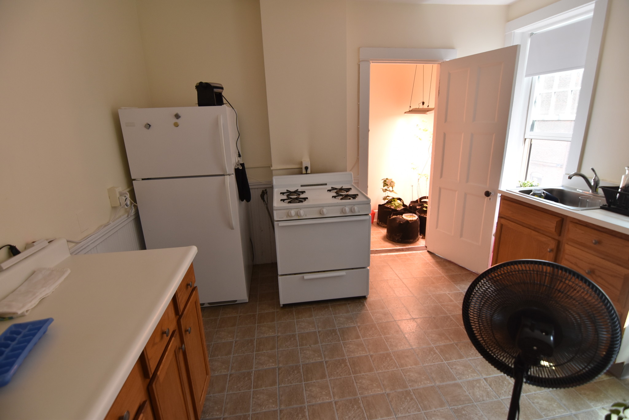 1211 Beacon St, Coolidge Corner