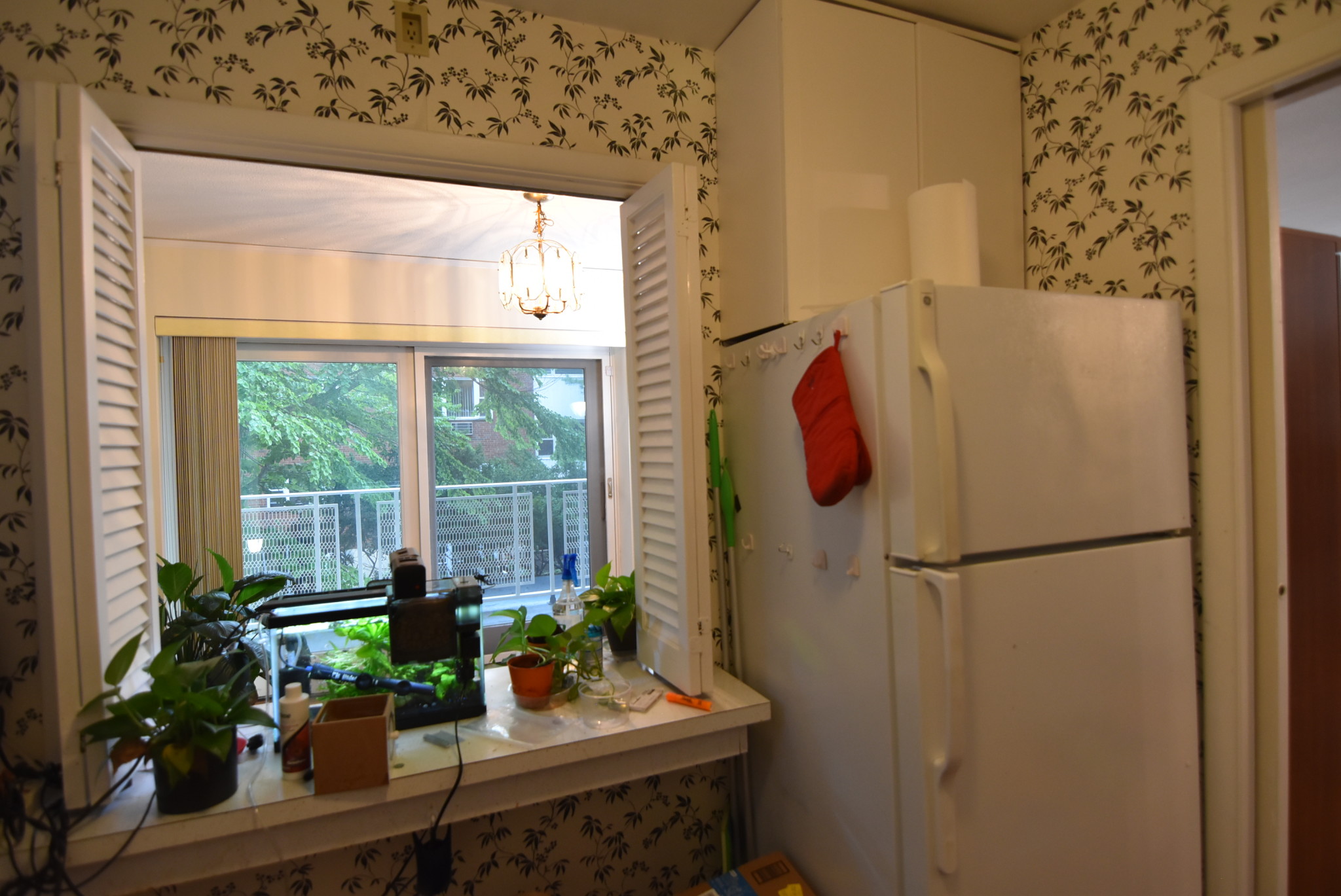 1 bed, 1 bath apartment for rent at 216 Saint Paul St Unit 204, Coolidge Corner — photo 5 of 15