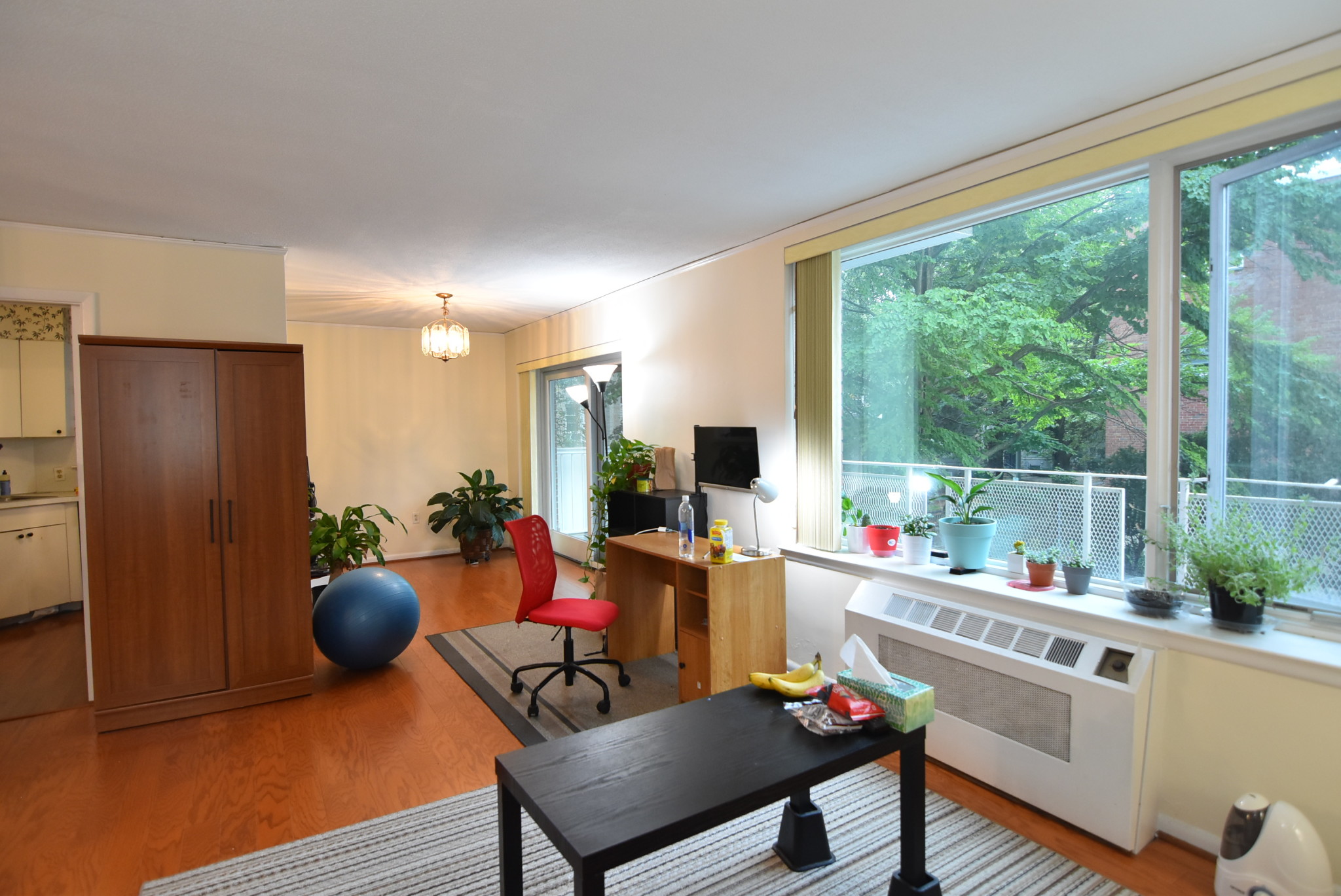 1 bed, 1 bath apartment for rent at 216 Saint Paul St Unit 204, Coolidge Corner — photo 2 of 15
