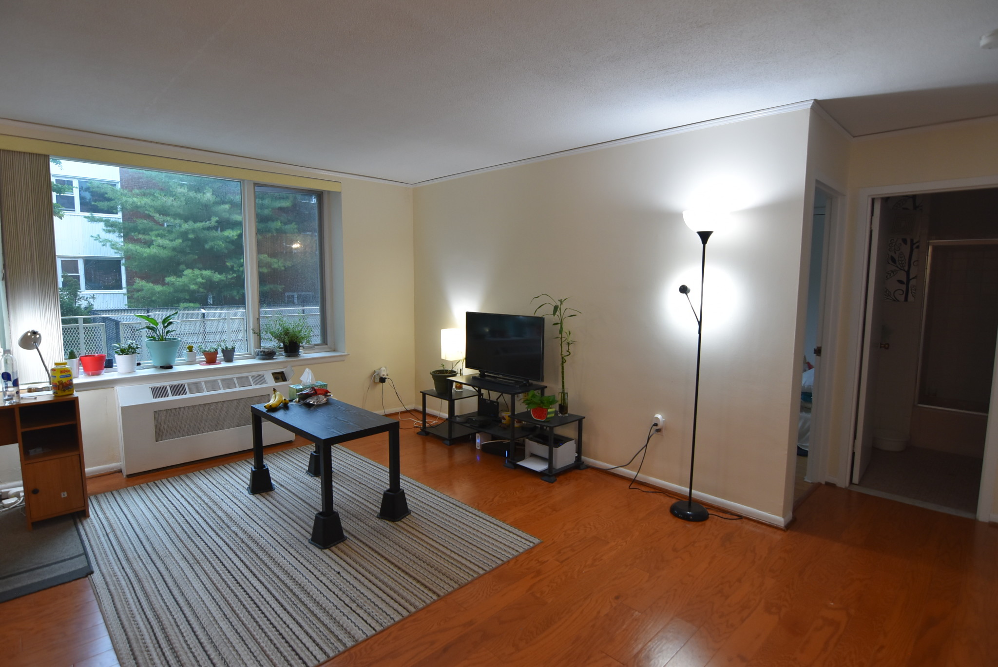 1 bed, 1 bath apartment for rent at 216 Saint Paul St Unit 204, Coolidge Corner — photo 14 of 15