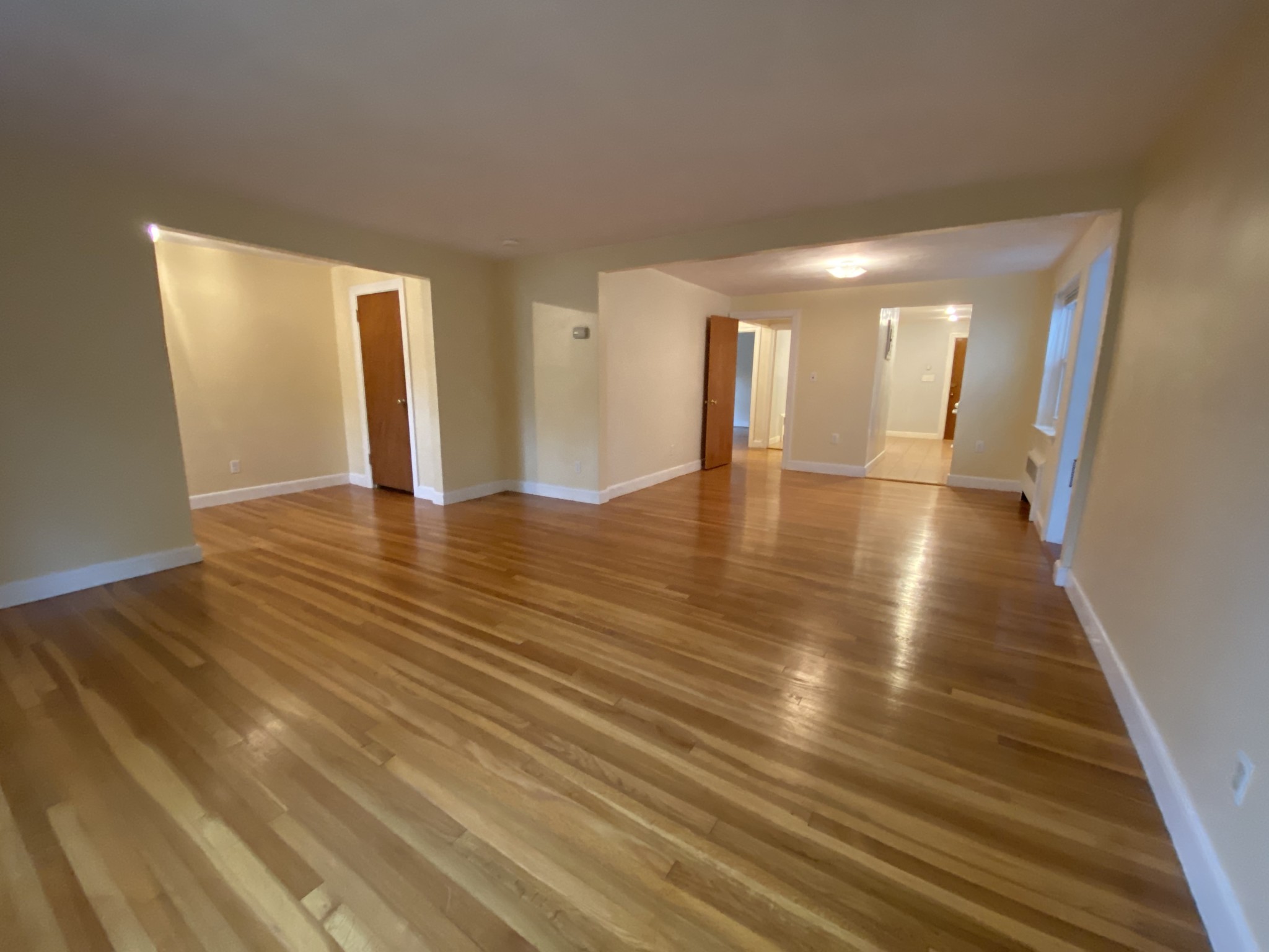 12 Louise Rd, Chestnut Hill