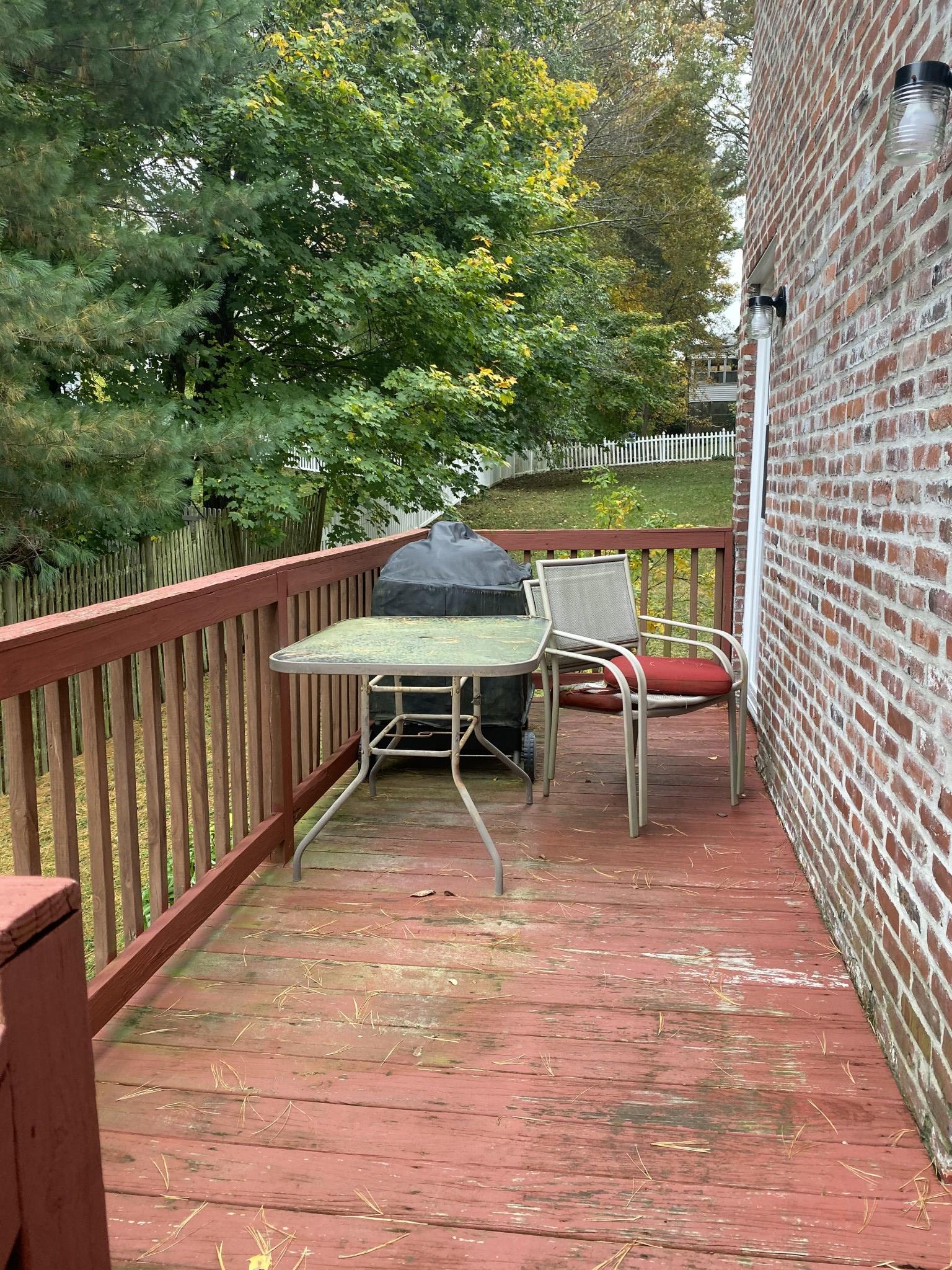 12 Louise Rd, Chestnut Hill