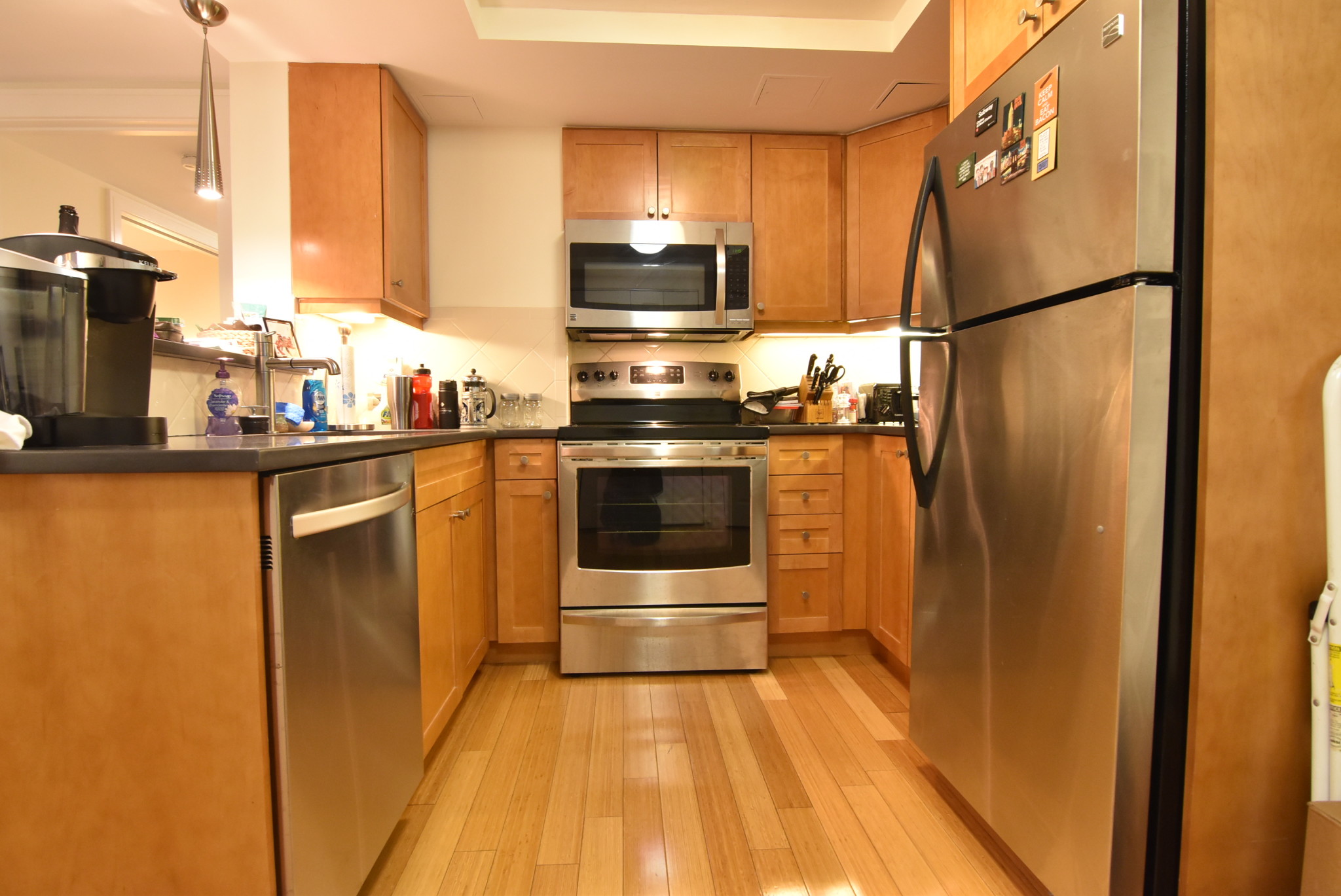 1 bed, 1 bath apartment for rent at 77 Marion St Unit 305, Brookline — photo 3 of 15