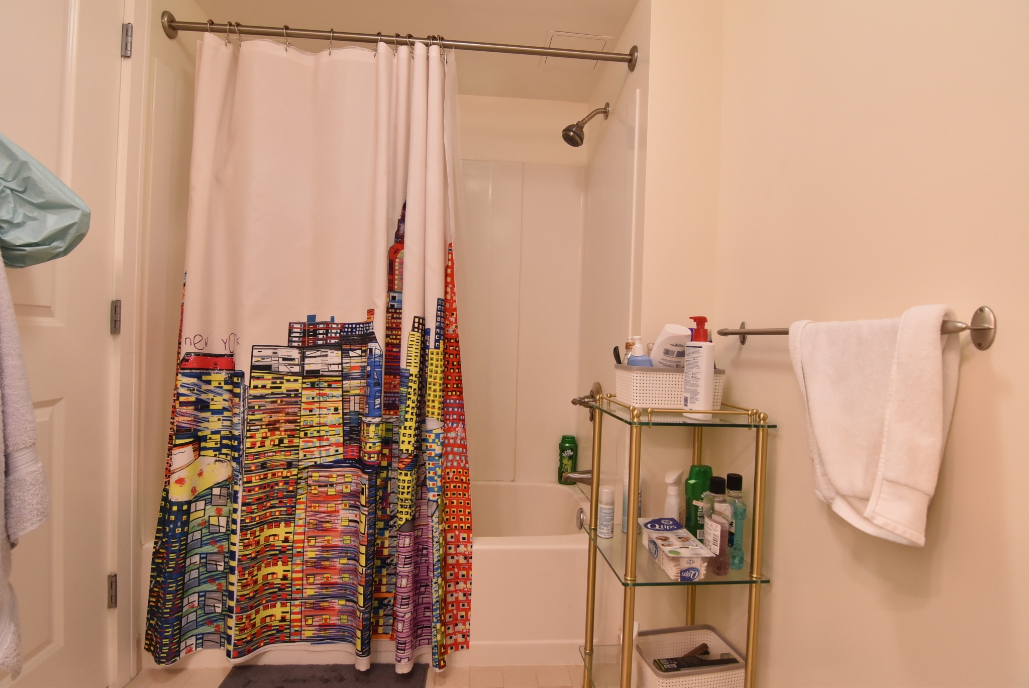 1 bed, 1 bath apartment for rent at 77 Marion St Unit 305, Brookline — photo 7 of 15