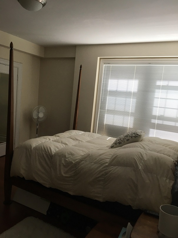 1 bed, 1 bath apartment for rent at 1401 Beacon St Unit 502, Brookline — photo 17 of 22