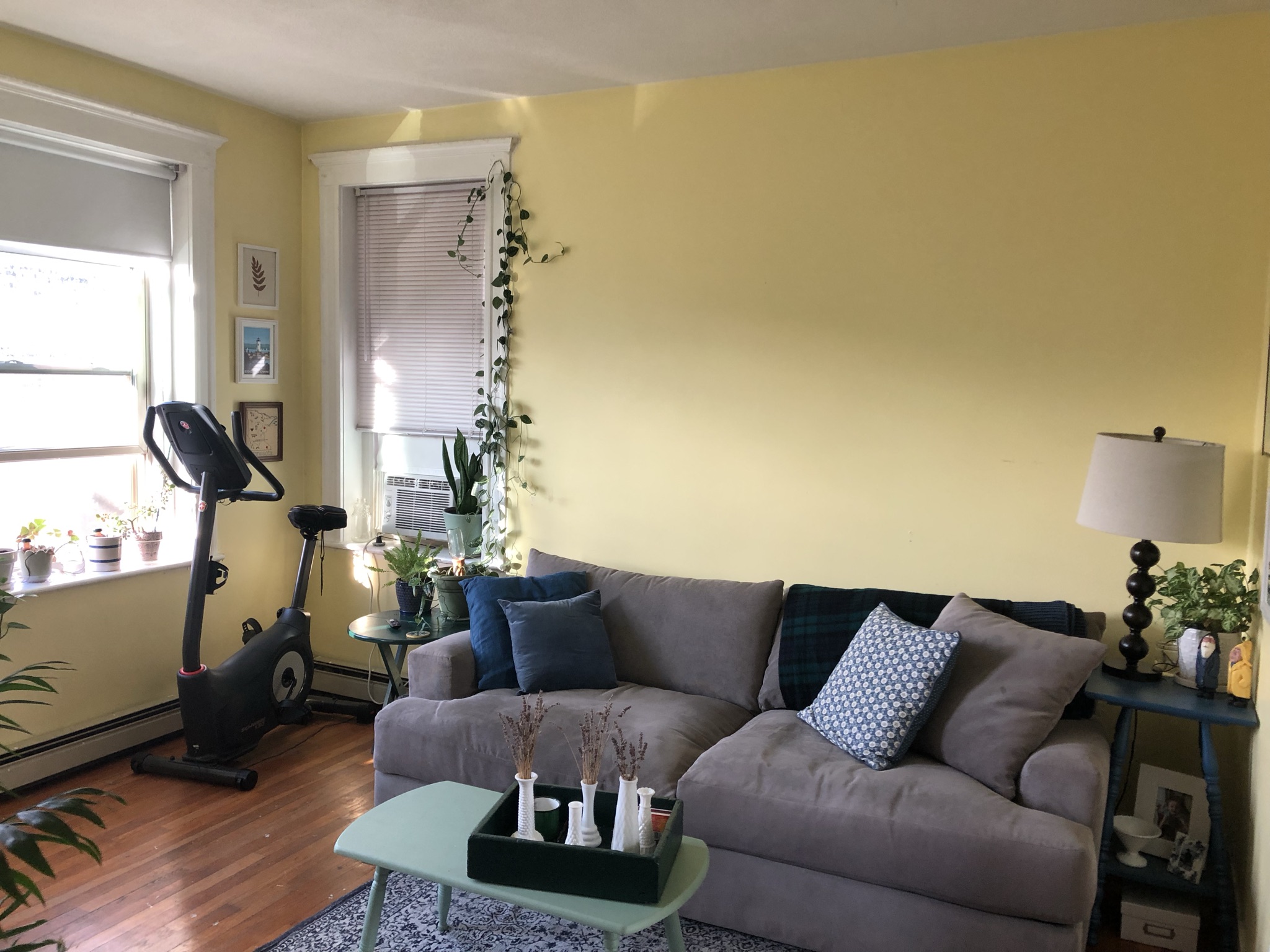 1 bed, 1 bath apartment for rent at 8 Ransom Rd Unit 6, Brighton