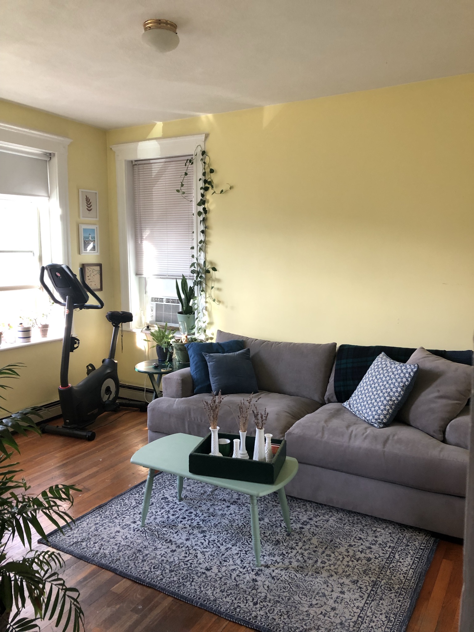 1 bed, 1 bath apartment for rent at 8 Ransom Rd Unit 6, Brighton — photo 2 of 12