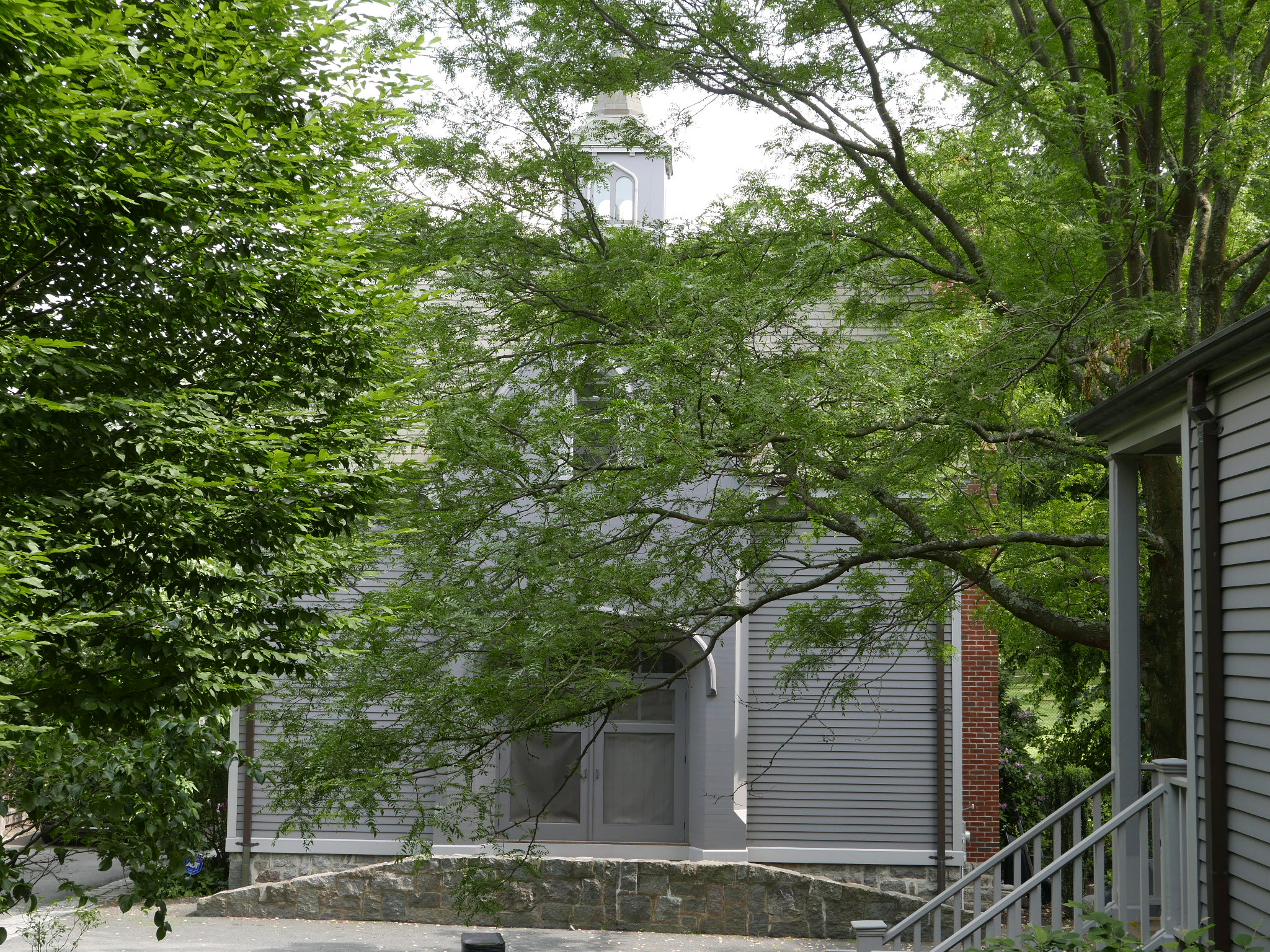 78 Davis Ave, Brookline