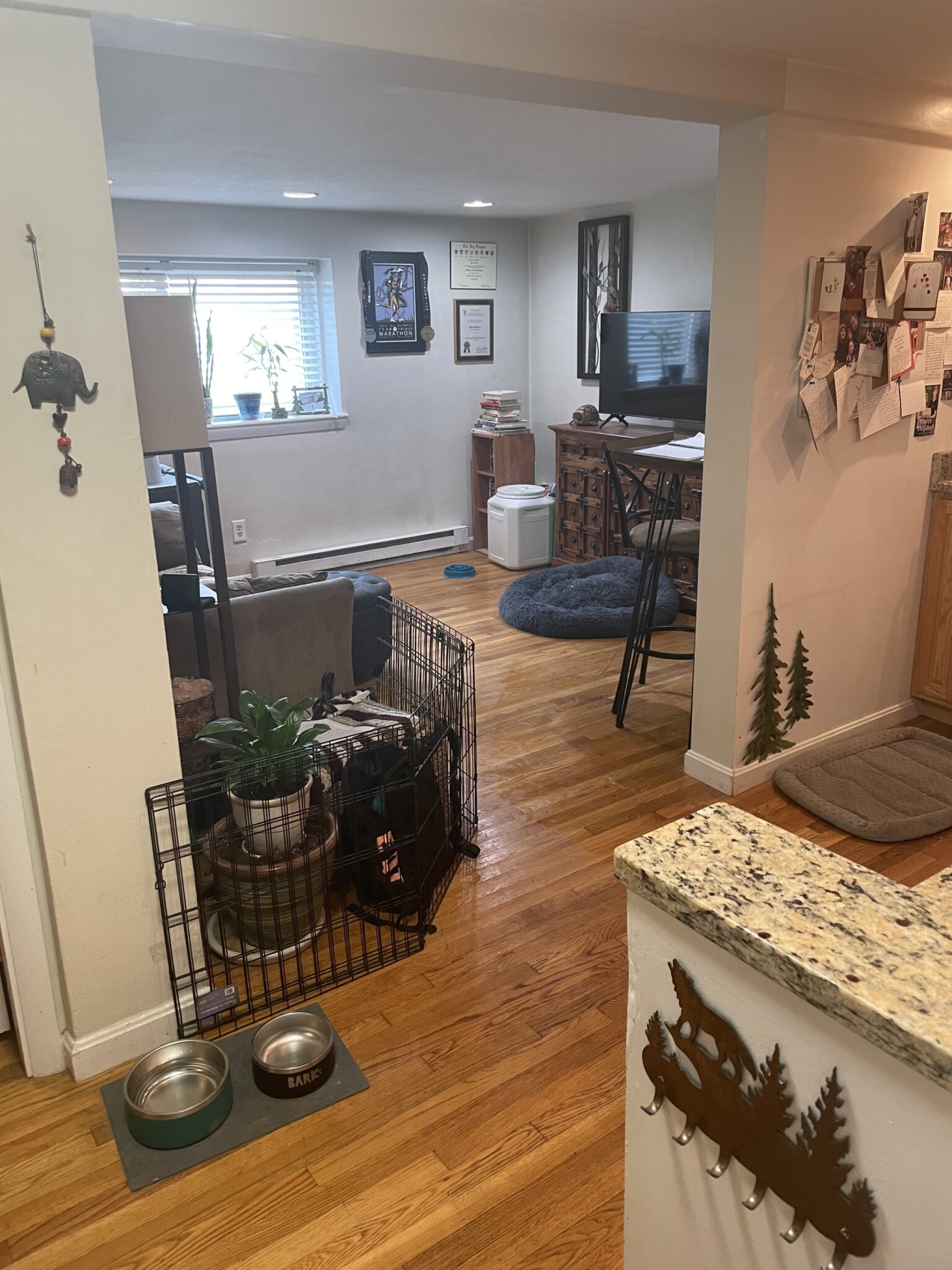 15 Euston Rd, Brighton