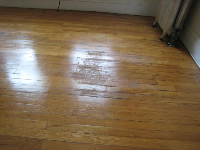 317 Allston St, Brighton