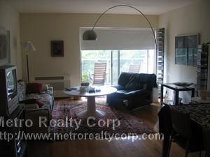 1 bed, 1 bath apartment for rent at 30 Fuller St Unit 103, Brookline — photo 3 of 5