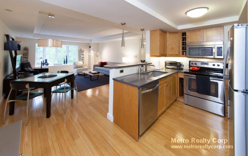 77 Marion St, Brookline