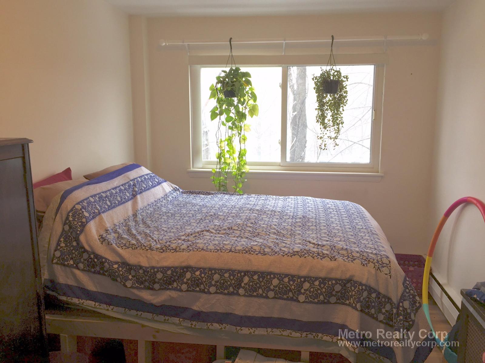 1 bed, 1 bath apartment for rent at 199 Winthrop Rd Unit 14, Brookline — photo 3 of 6