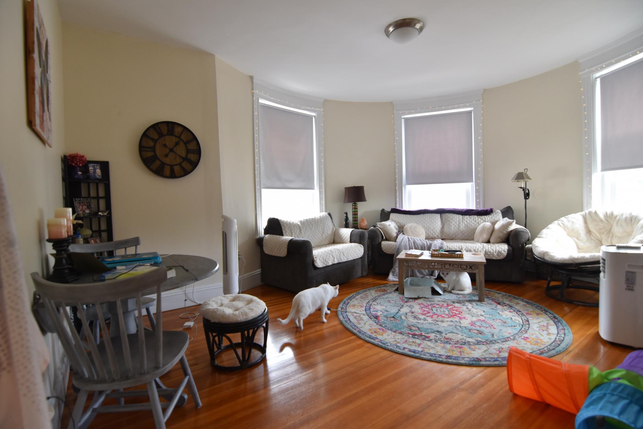 94 Corey Rd, Brighton