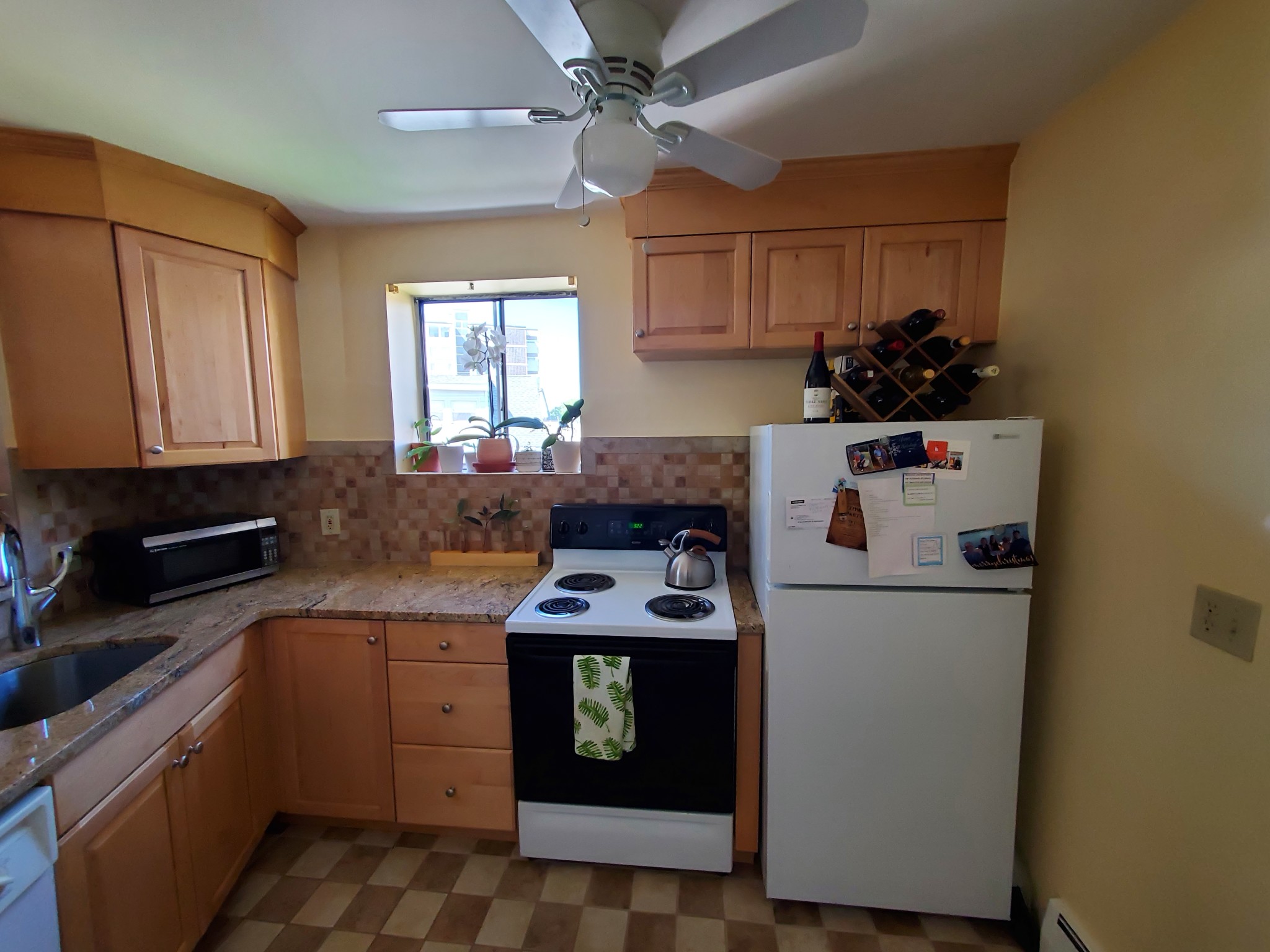 34 Babcock St, Coolidge Corner