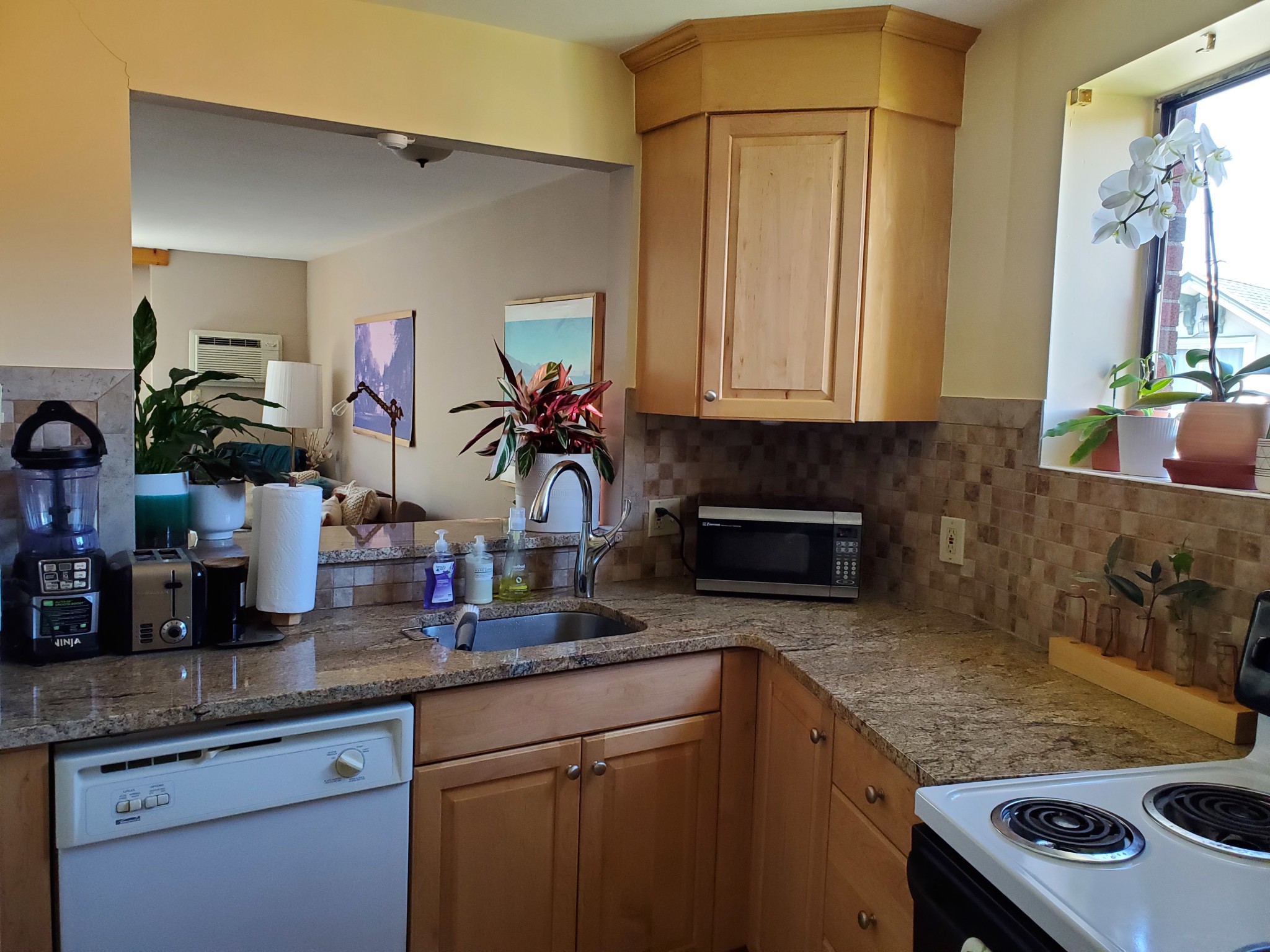 34 Babcock St, Coolidge Corner