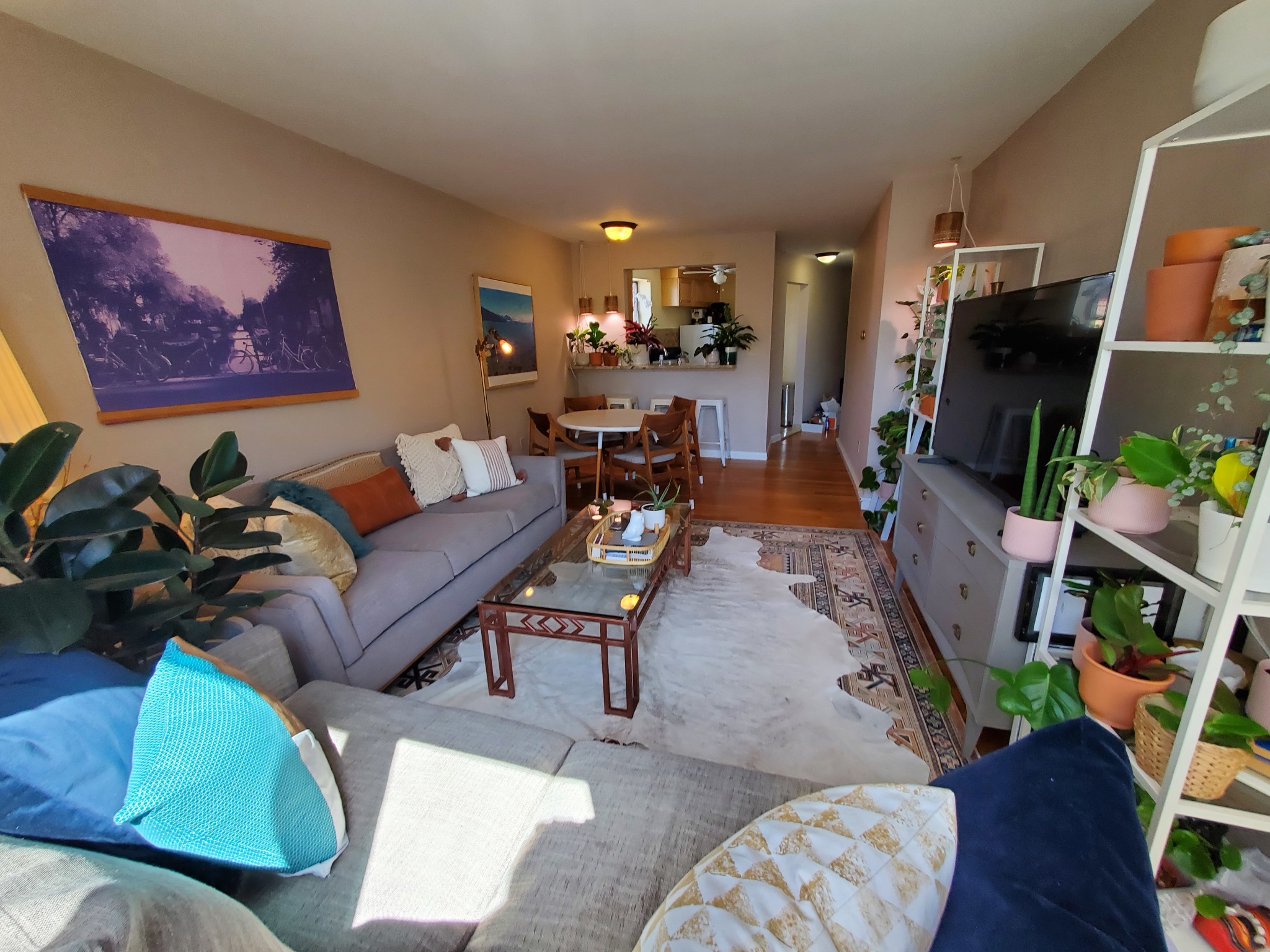 34 Babcock St, Coolidge Corner