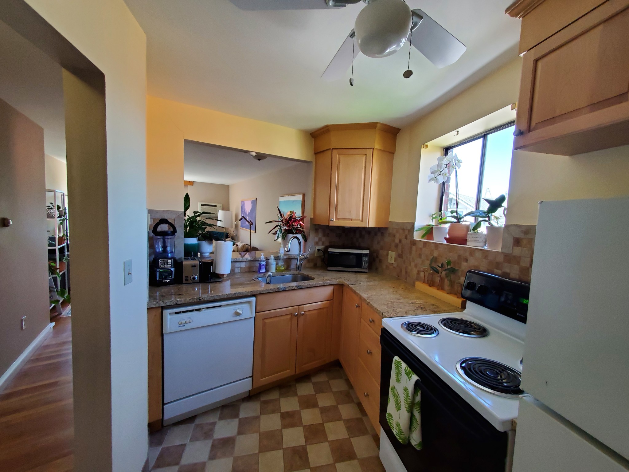 34 Babcock St, Coolidge Corner