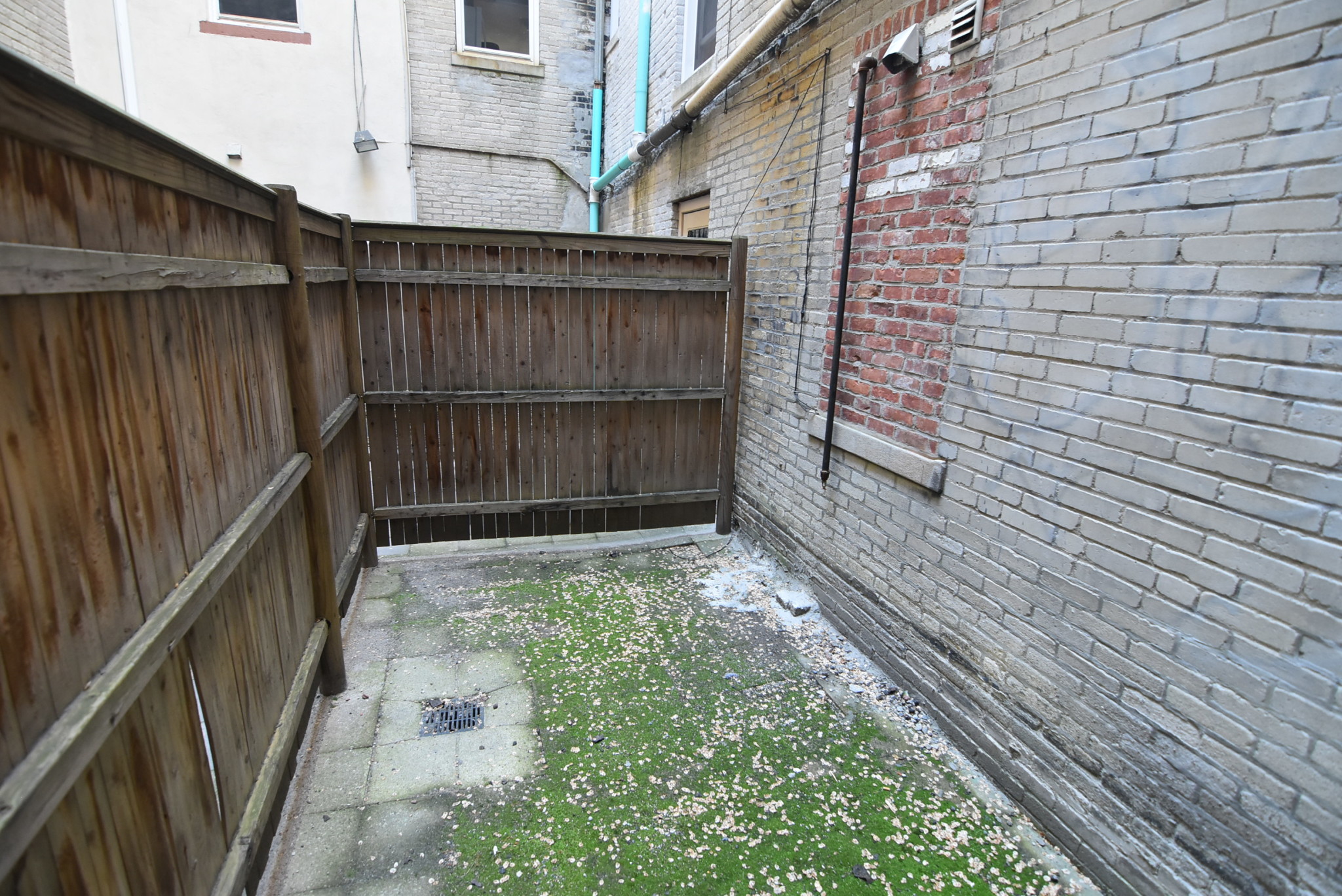 Studio bed, 1 bath apartment for rent at 24 Queensberry St Unit C, Fenway — photo 9 of 11
