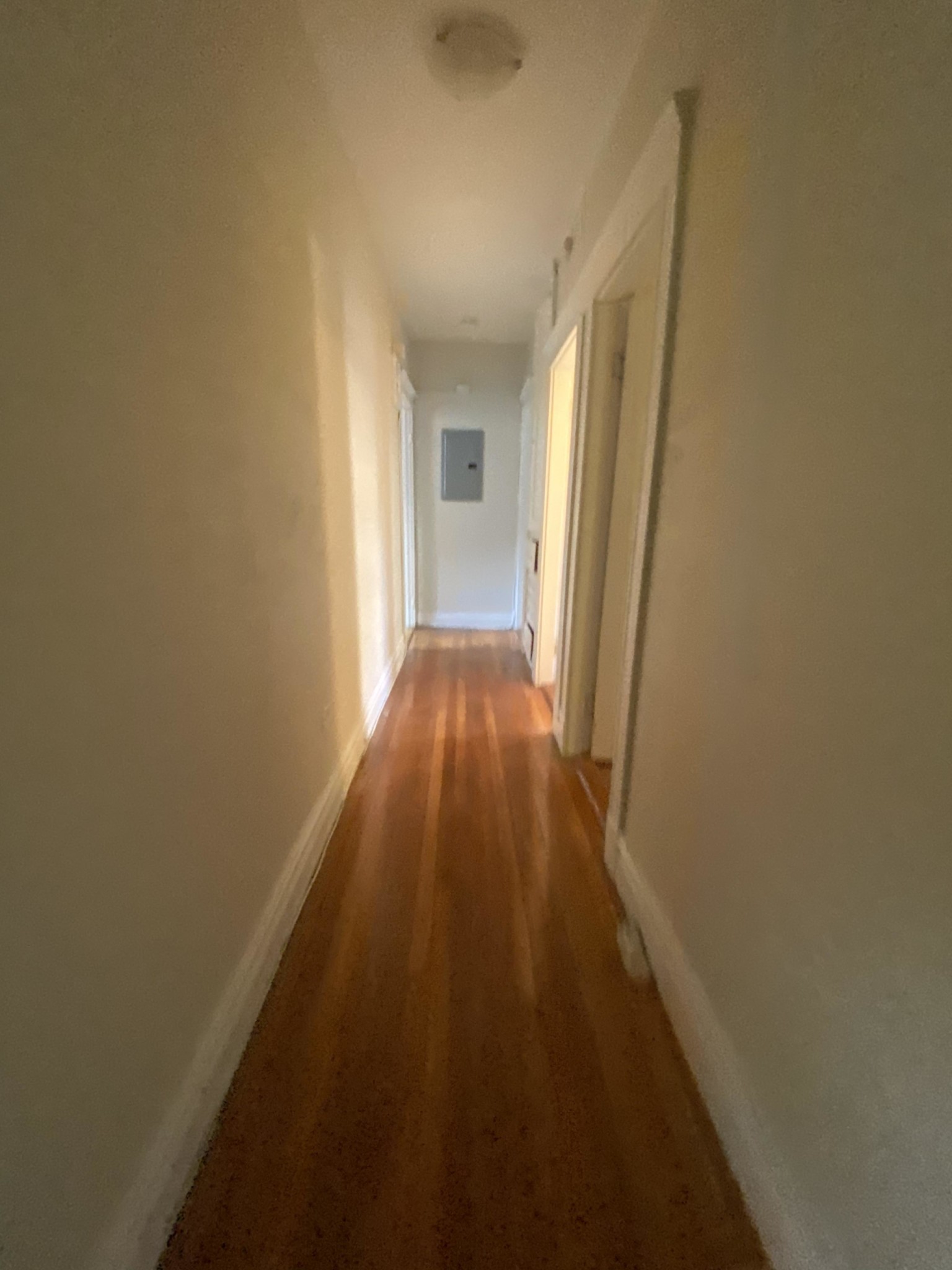 57 Strathmore Rd, Brighton