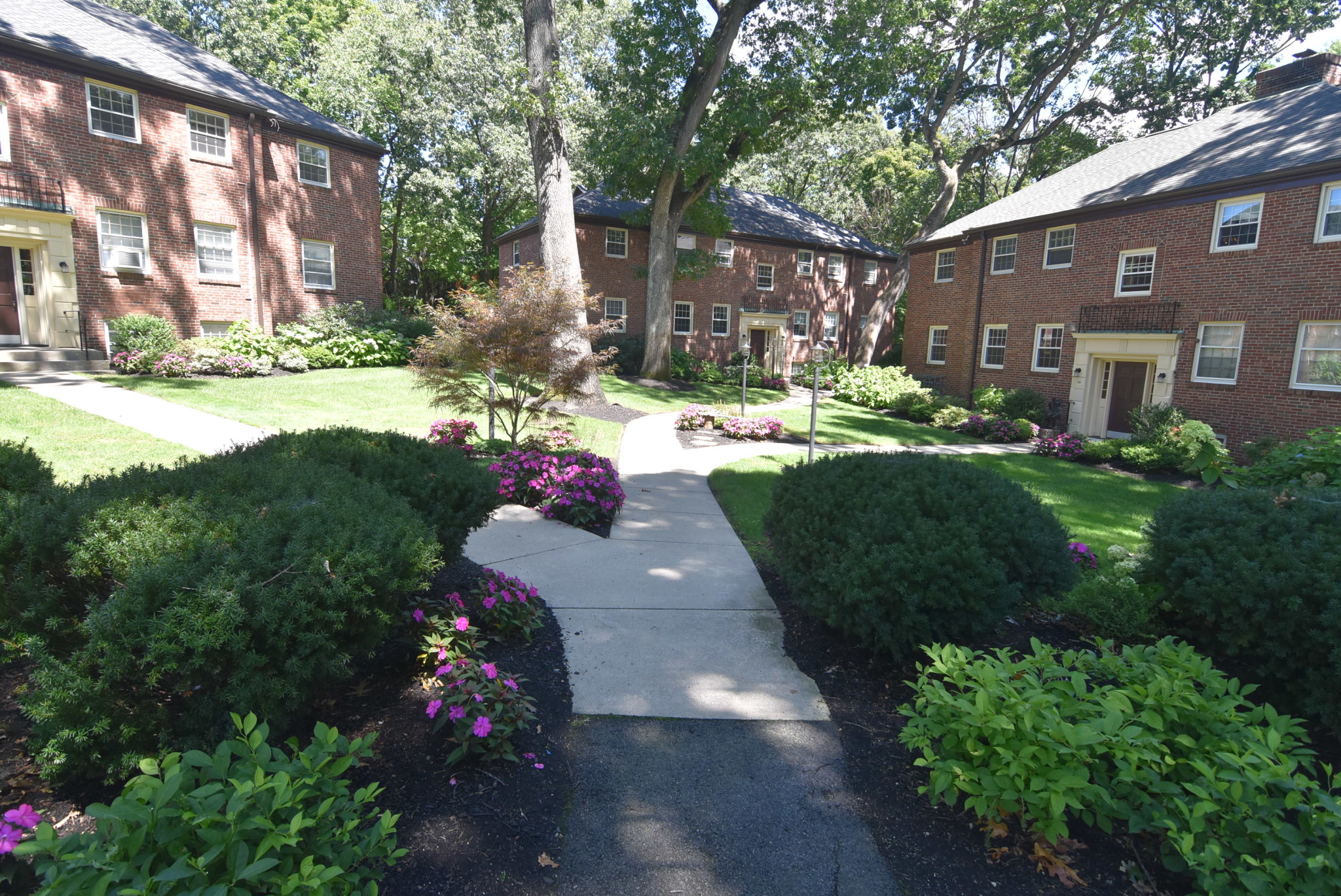 59 Wyman St, Newton