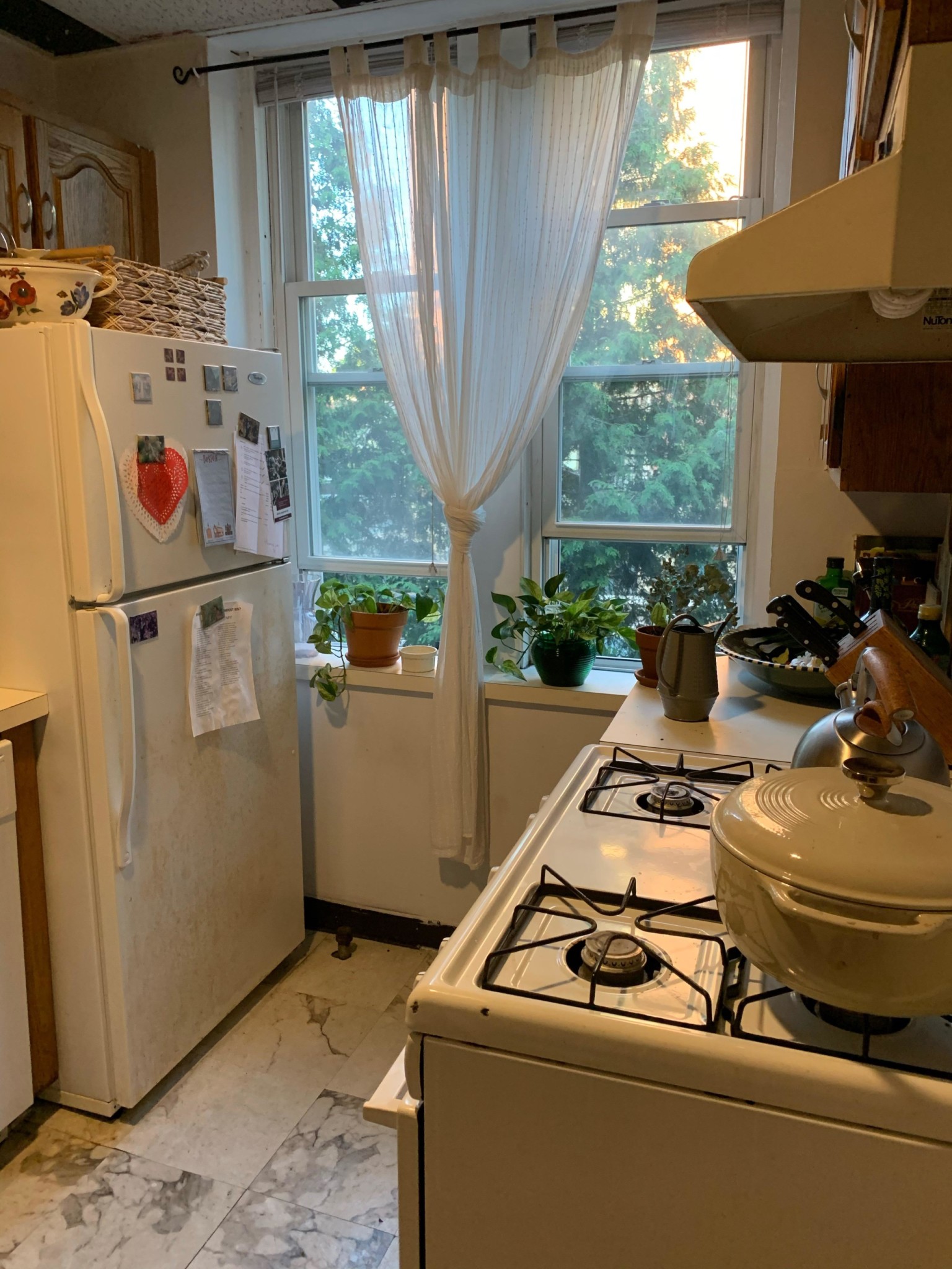 46 Longwood Ave, Coolidge Corner