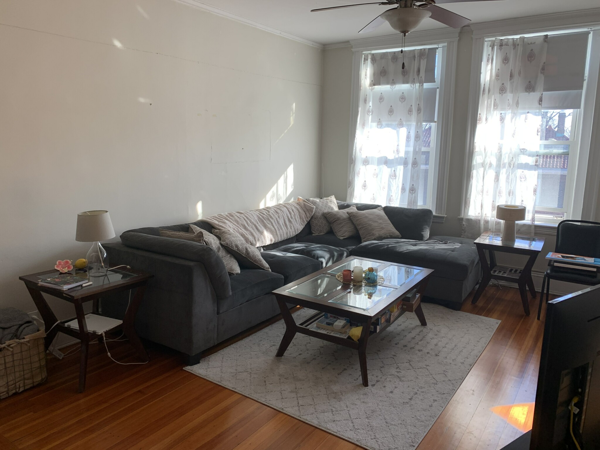 84 Corey Rd, Brighton