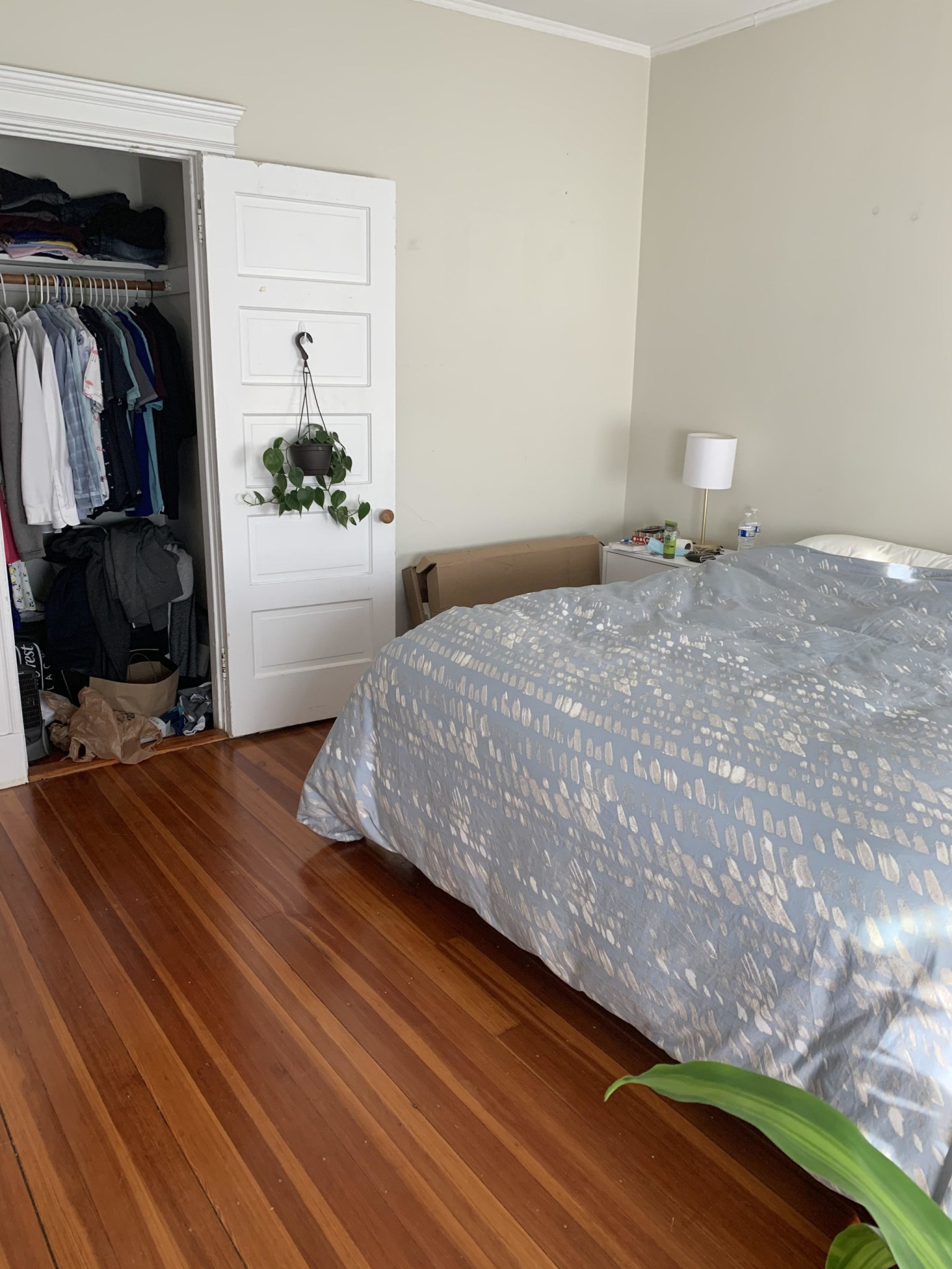 84 Corey Rd, Brighton