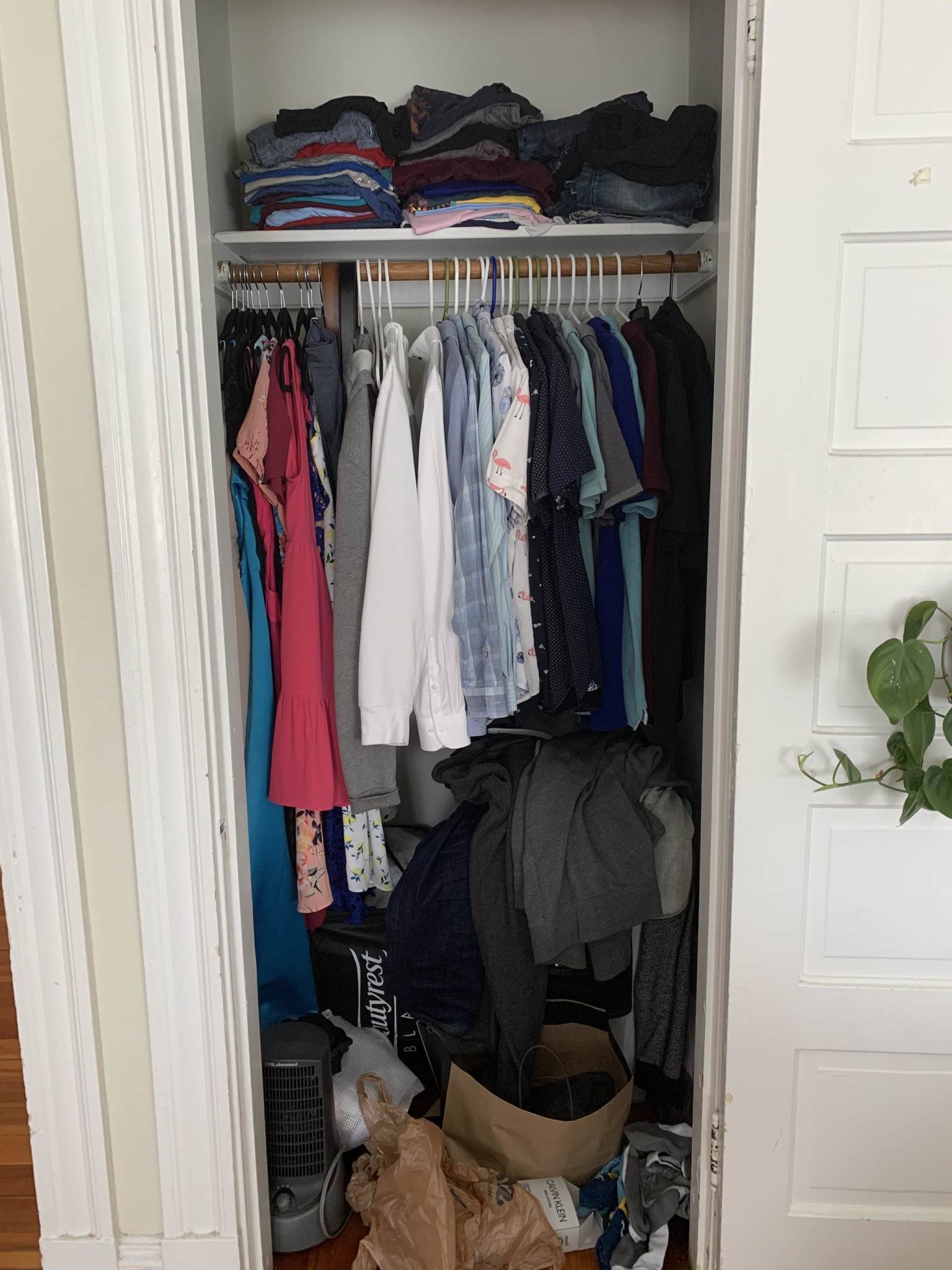 84 Corey Rd, Brighton