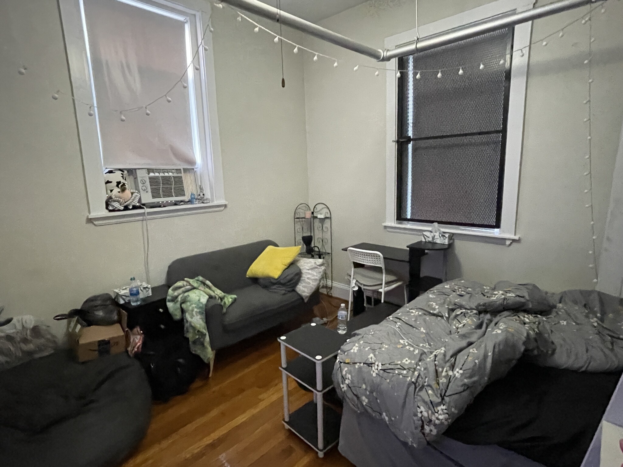 7 Scottfield Rd, Allston