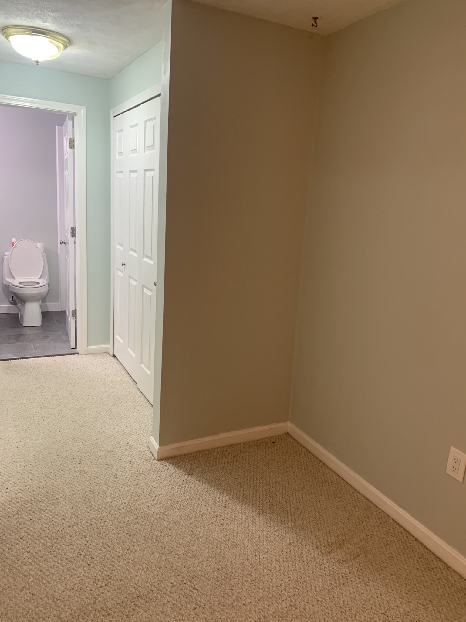 2 bed, 2 bath apartment for rent at 1212 Vfw Pkwy, West Roxbury — photo 12 of 16