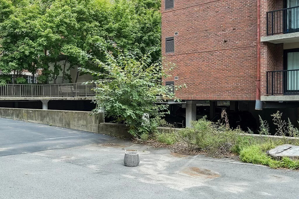 119 Park St, Brookline