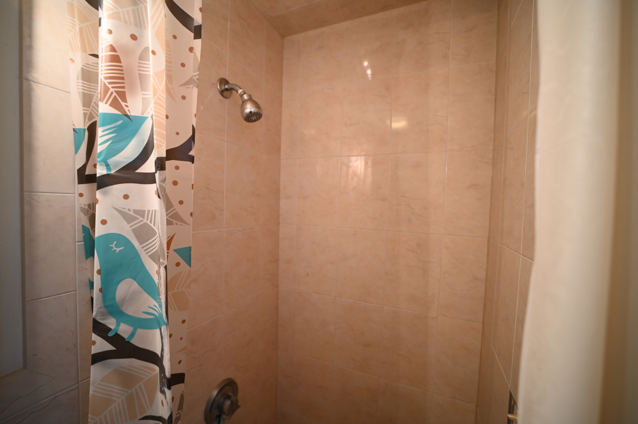 48 Atherton Rd, Coolidge Corner