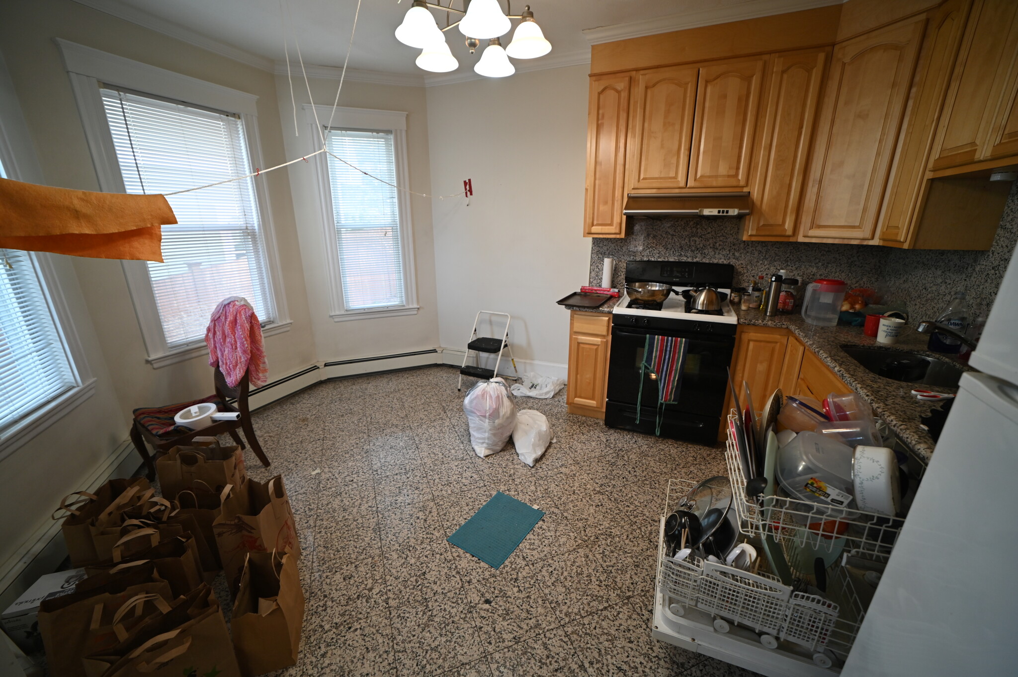 48 Atherton Rd, Coolidge Corner