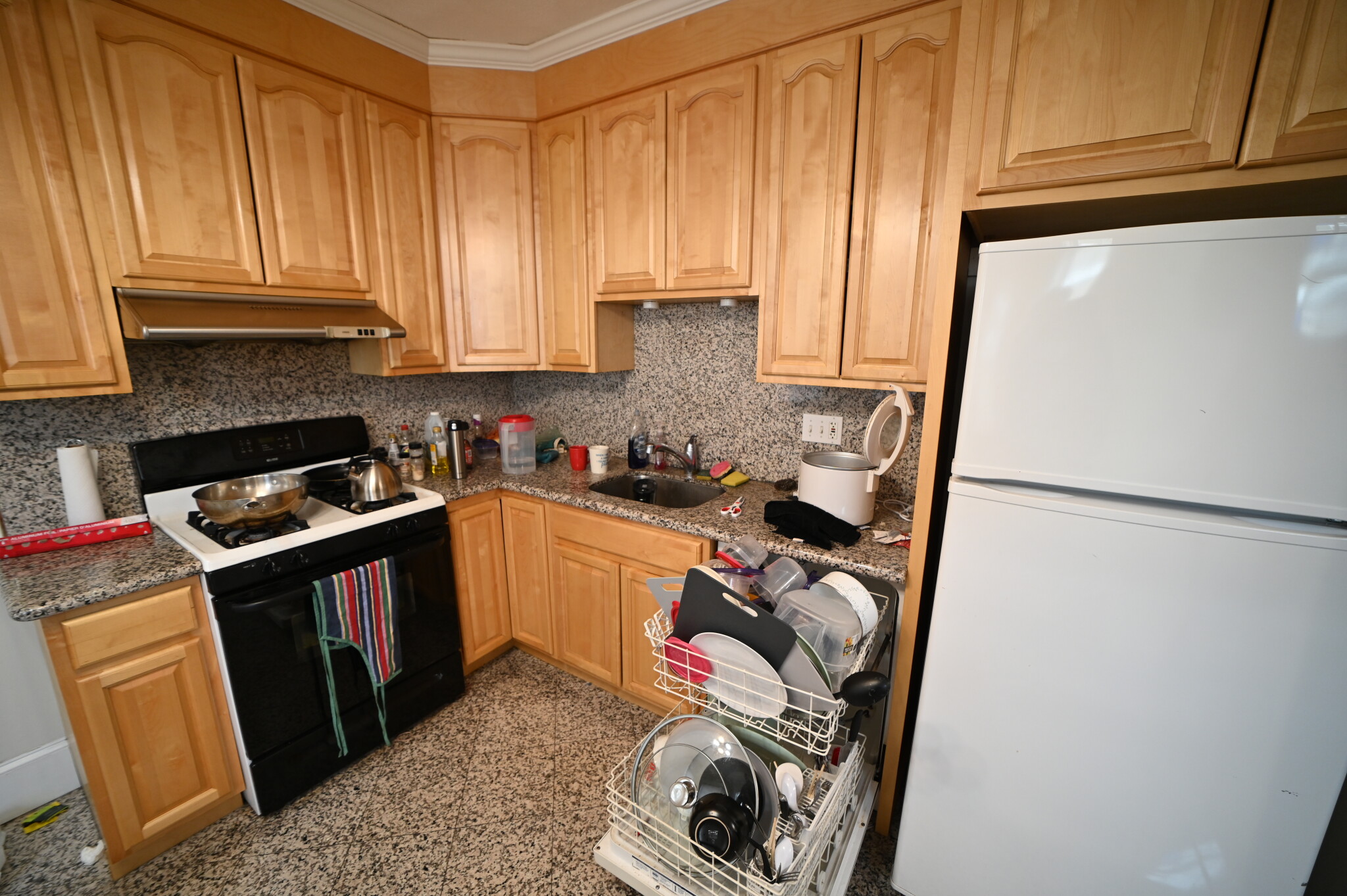 48 Atherton Rd, Coolidge Corner