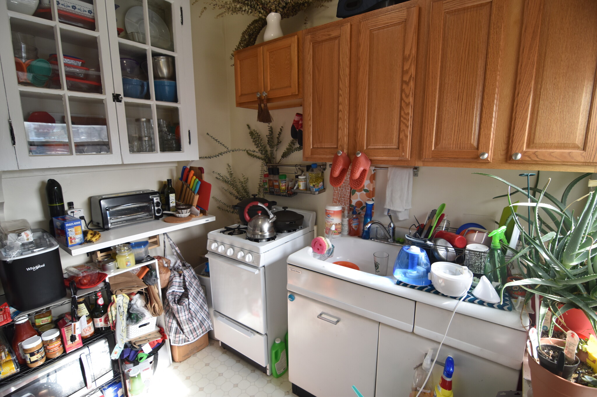 1376 Commonwealth Ave, Allston