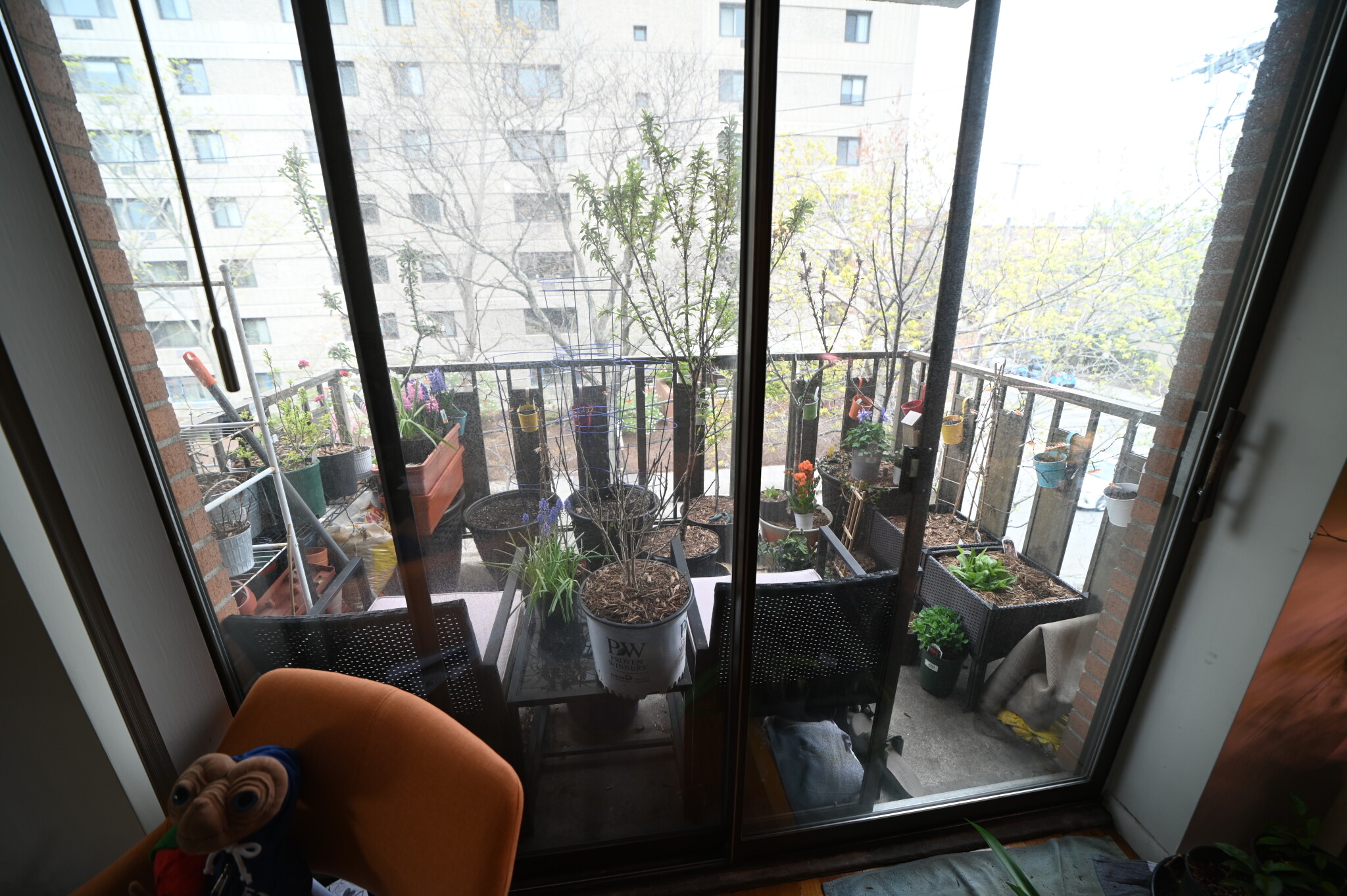 40 Williams St, Brookline