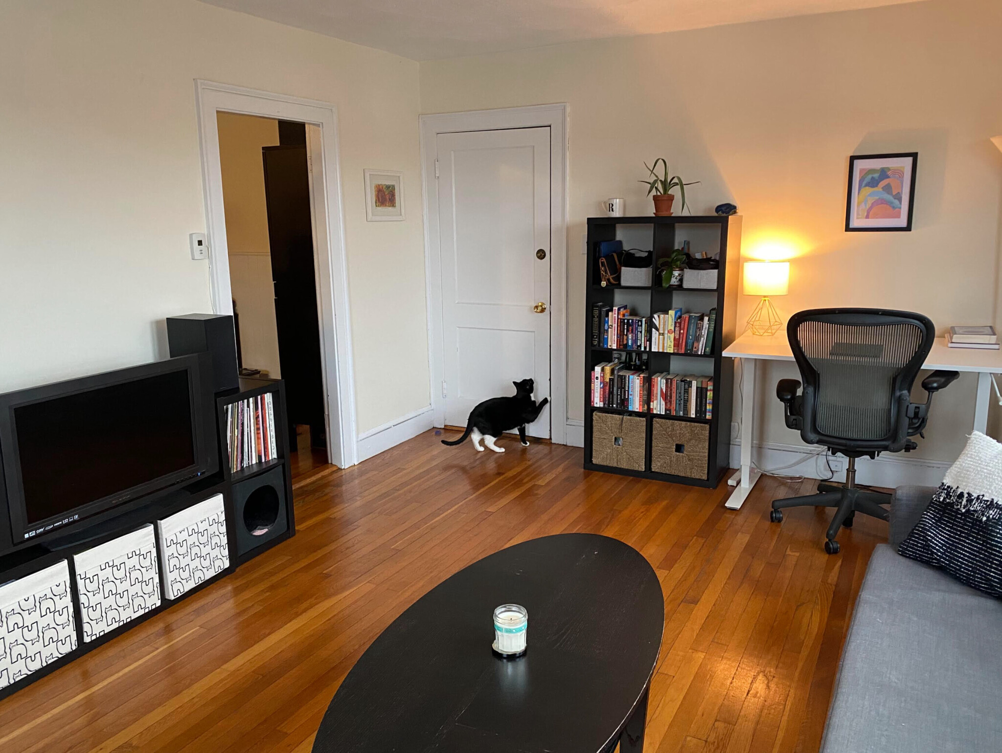 38 Day St, Davis Square