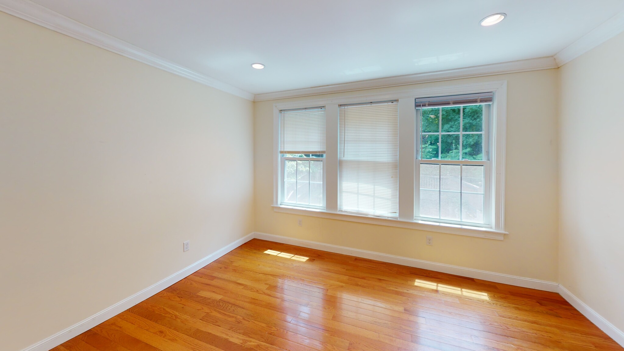 222 Winchester St, Coolidge Corner