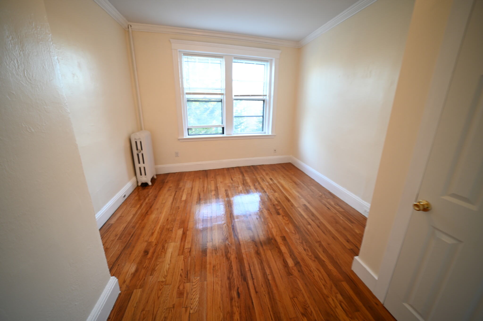 55 Lanark Rd, Brighton