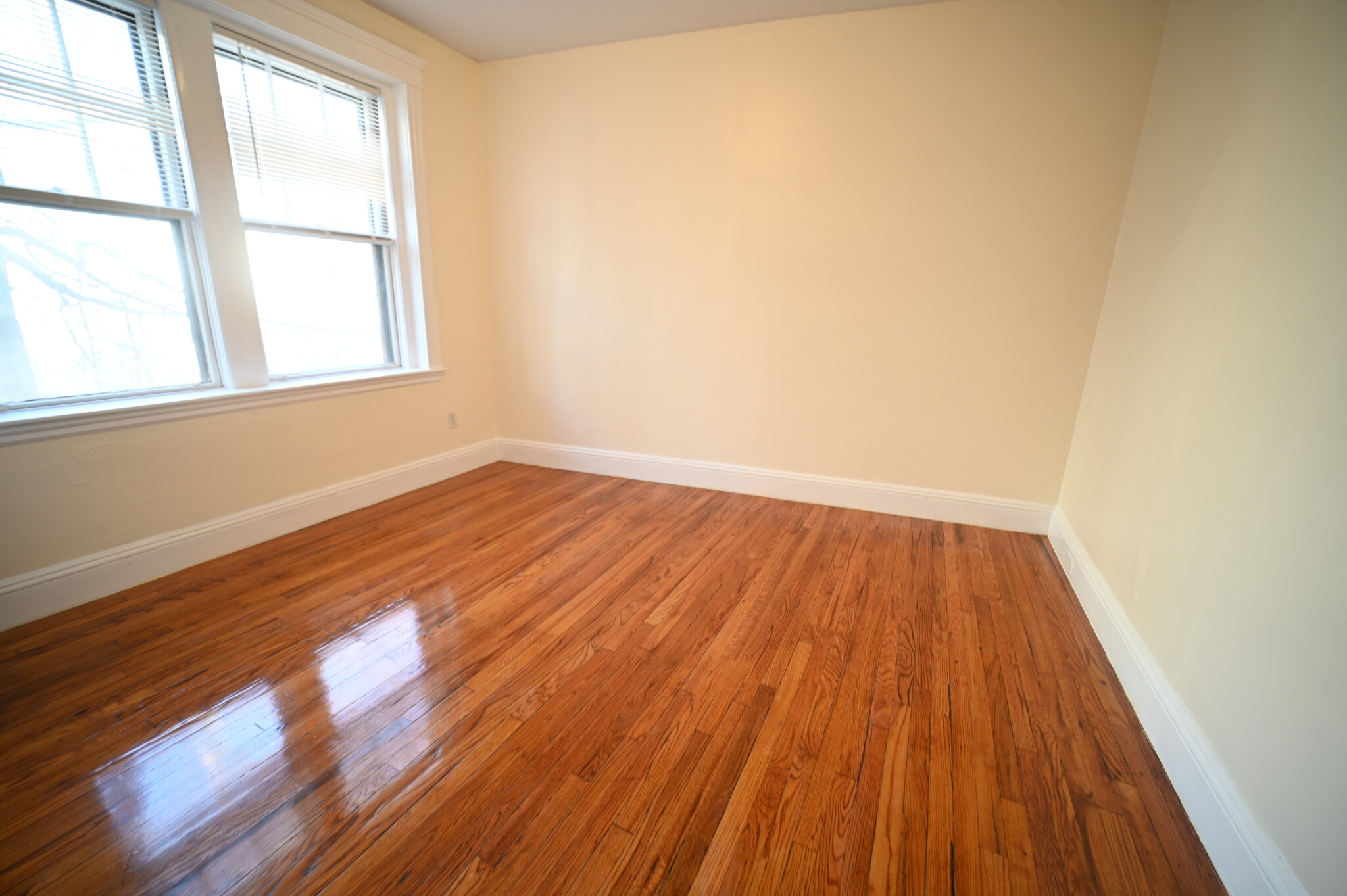55 Lanark Rd, Brighton