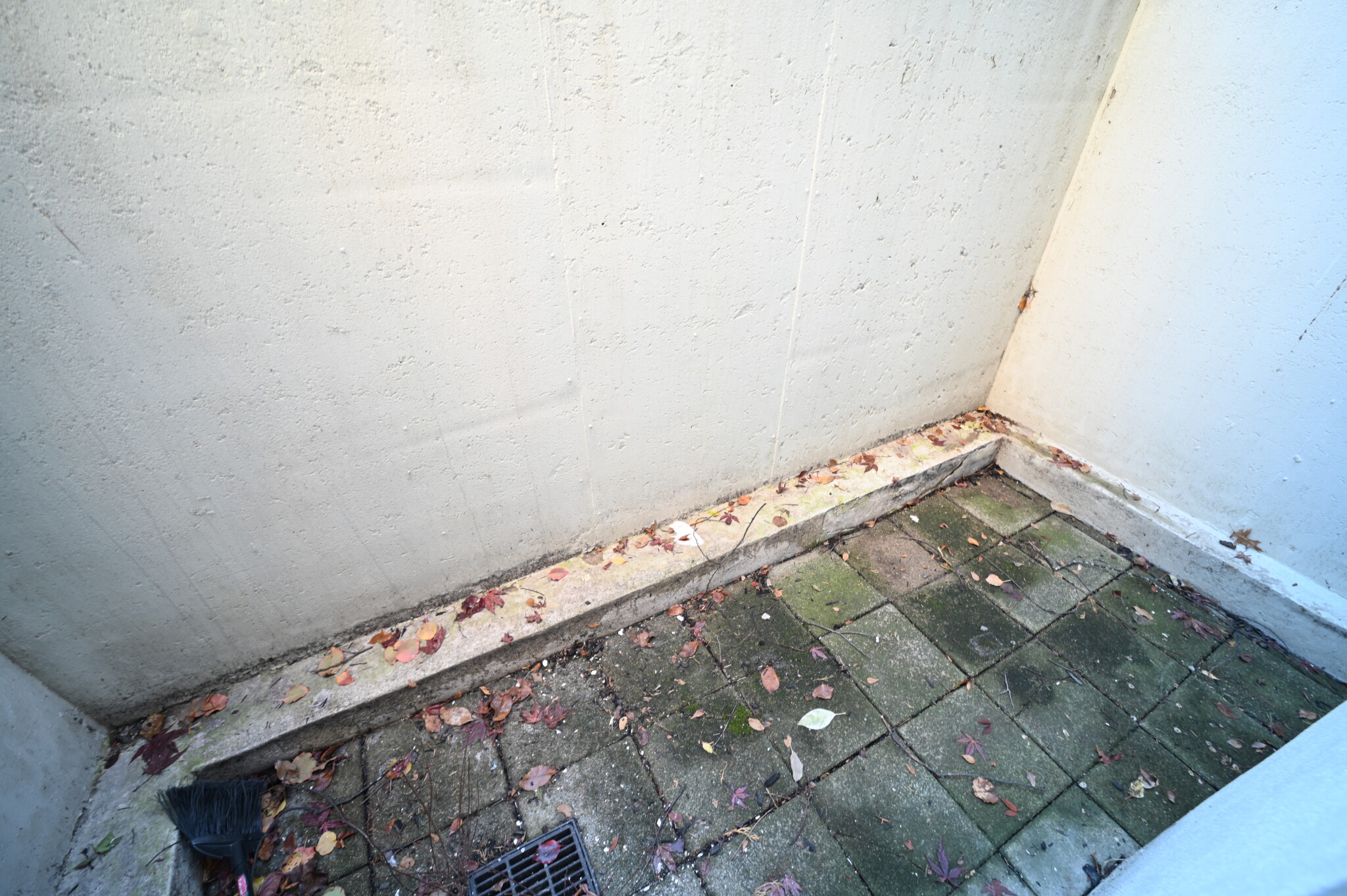 15 Queensberry St, Fenway