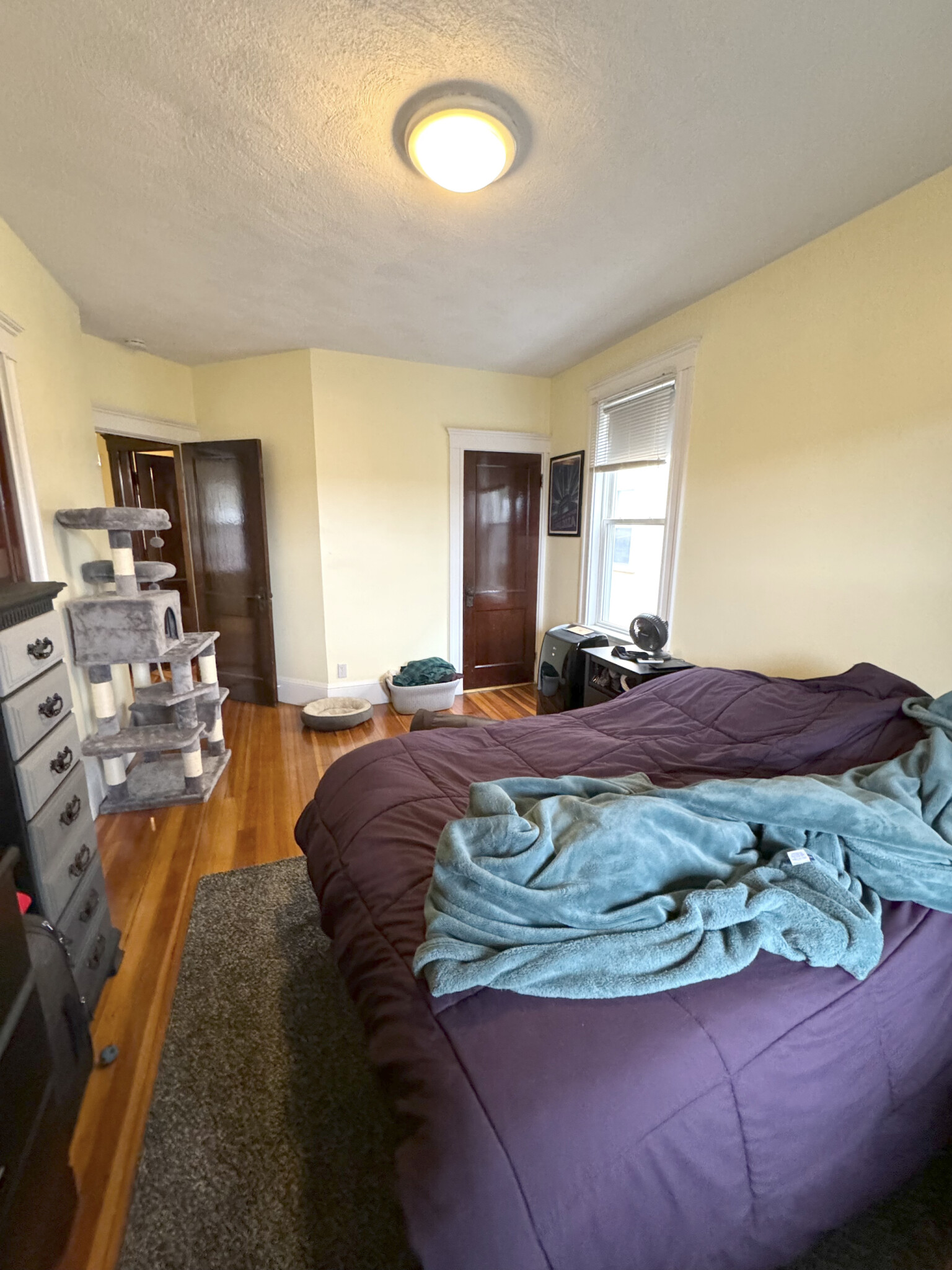 101 Browne St, Coolidge Corner