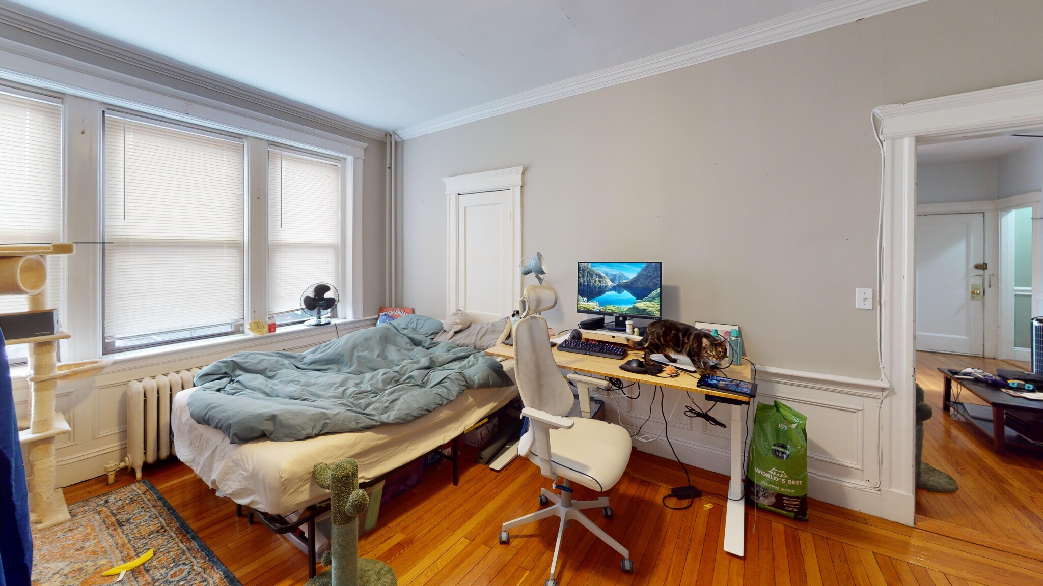 10 Greenway Ct, Coolidge Corner