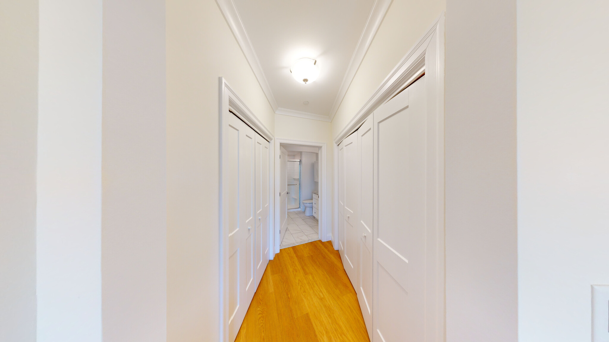 101 Asheville, Chestnut Hill