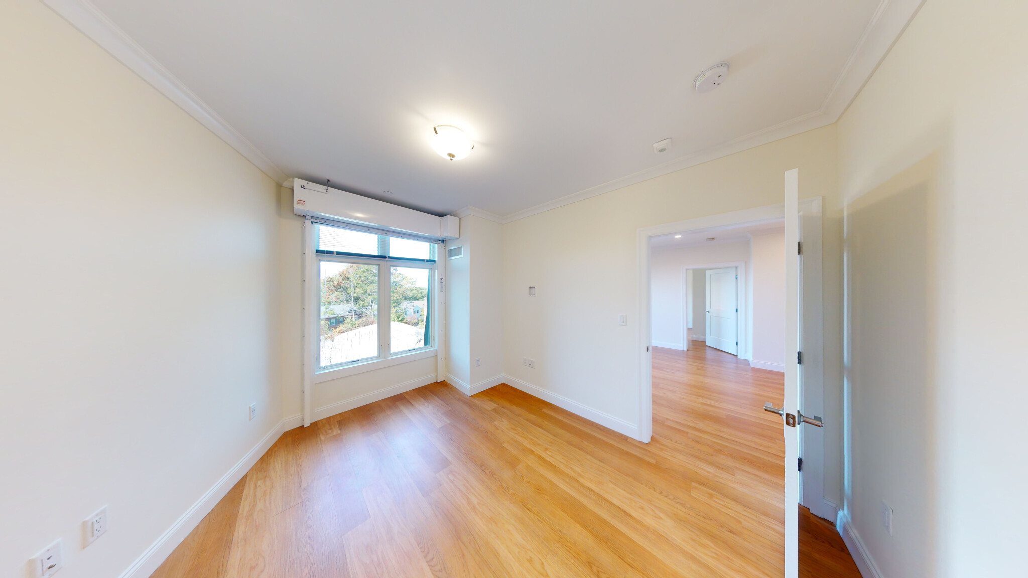 101 Asheville, Chestnut Hill