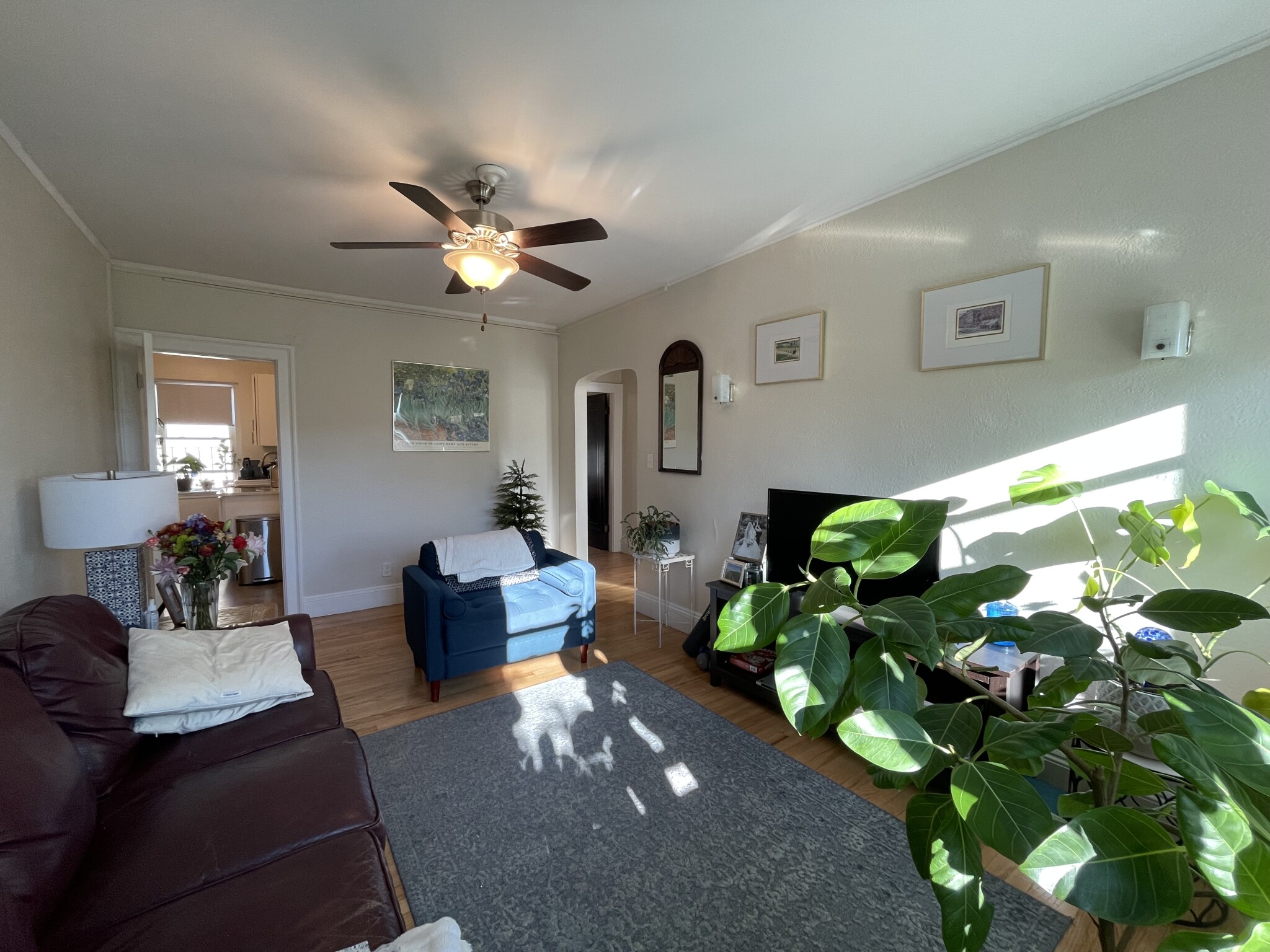 81 Strathmore Rd, Brighton