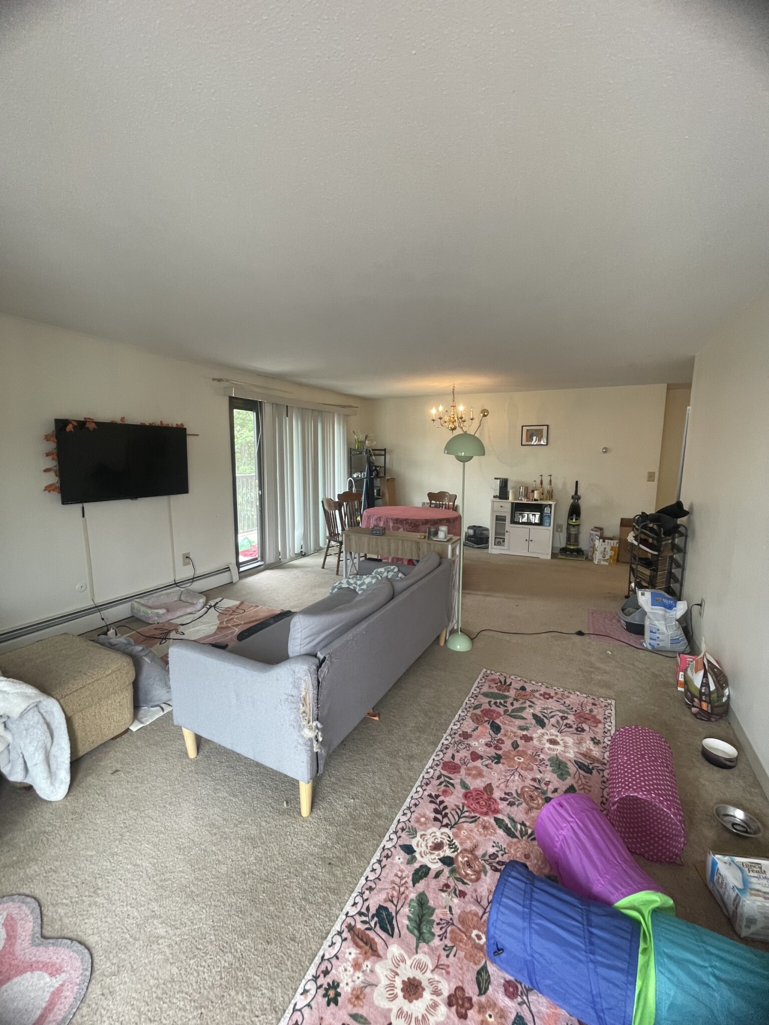 https://ygl-photos.s3.us-west-004.backblazeb2.com/272W683de217b8809.jpg