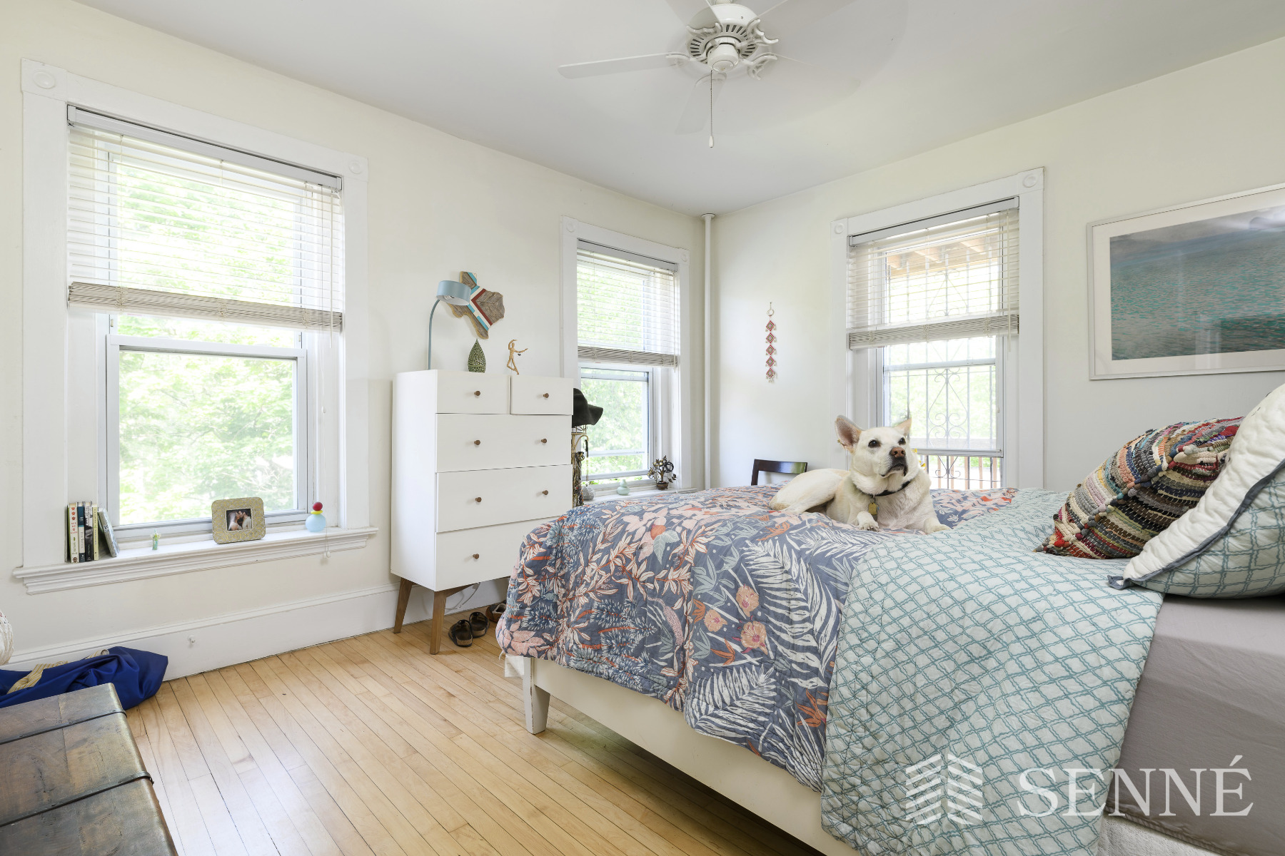 128 Magazine St, Cambridgeport