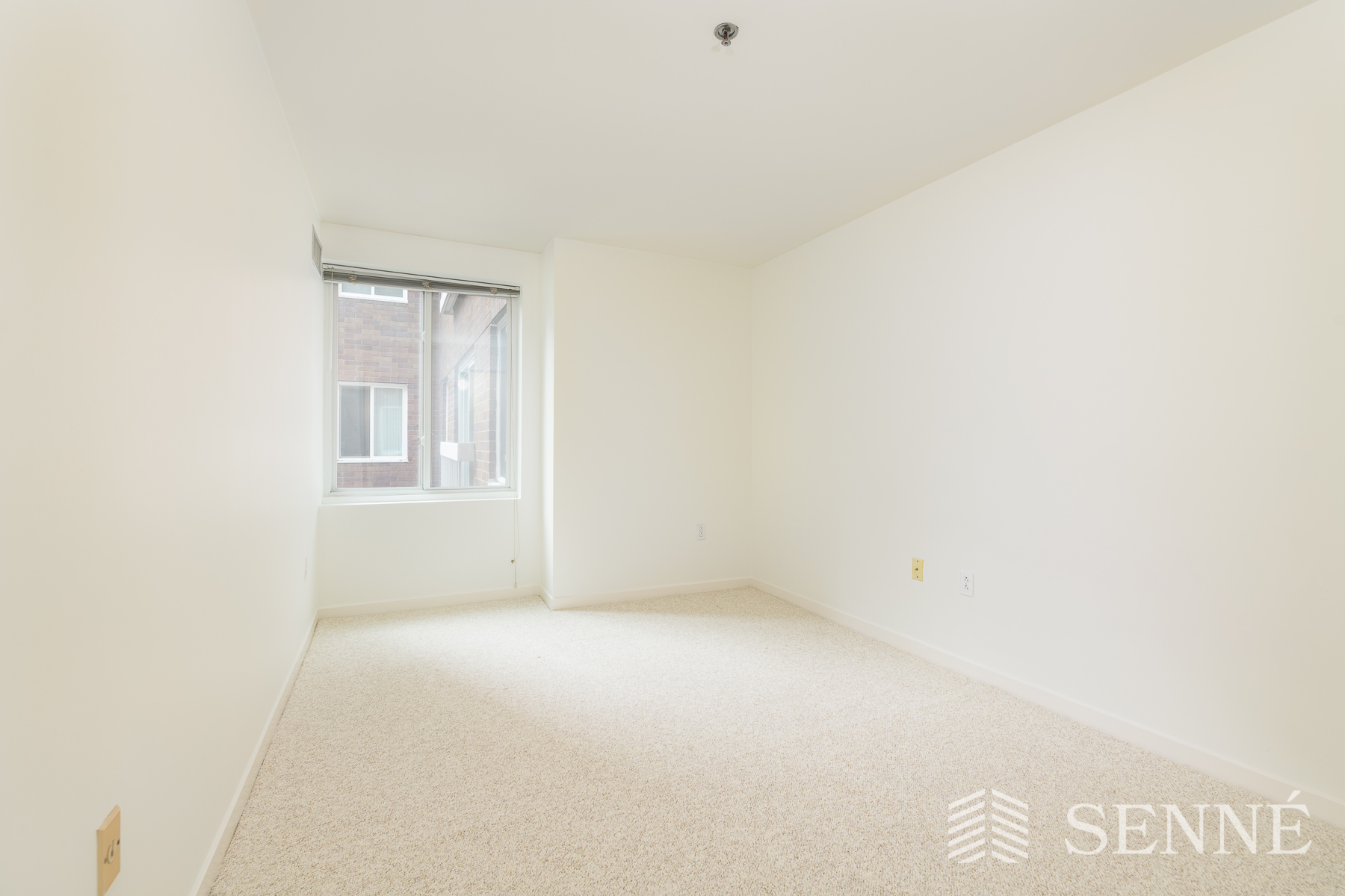 950 Massachusetts Ave, Harvard Square